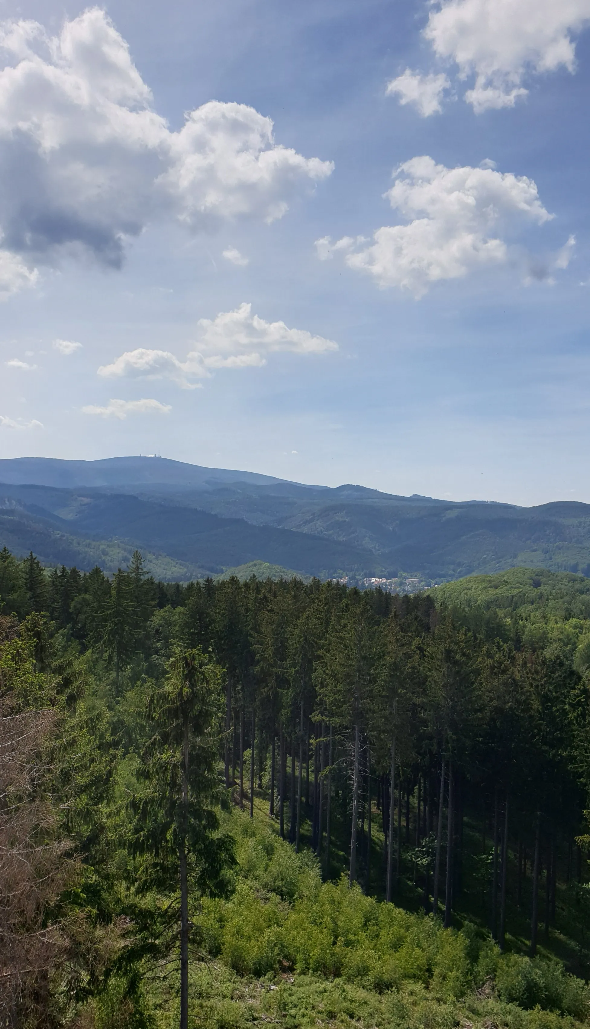 Photo showing: Der Armeleuteberg im Harz ist ein 477,8 m ü. NHN hoher Berg bei Wernigerode im Landkreis Harz in Sachsen-Anhalt.
Der Armeleuteberg erhebt sich im Oberharz im Naturpark Harz/Sachsen-Anhalt. Sein Gipfel liegt knapp 2 km südlich der Altstadt von Wernigerode. In Richtung Nordosten fällt seine Waldlandschaft in das Zwölfmorgental – mit der jenseits davon befindlichen, nahen Harburg – nach Wernigerode ab. Nach Süden fällt sie in das Kalte Tal und etwa nach Nordwesten durch das Nesseltal nach Hasserode ab.

Auf dem Berggipfel steht seit 1902 der Aussichtsturm Kaiserturm, von dem man unter anderem auf Wernigerode mit dem Schloss Wernigerode und Brocken blickt.