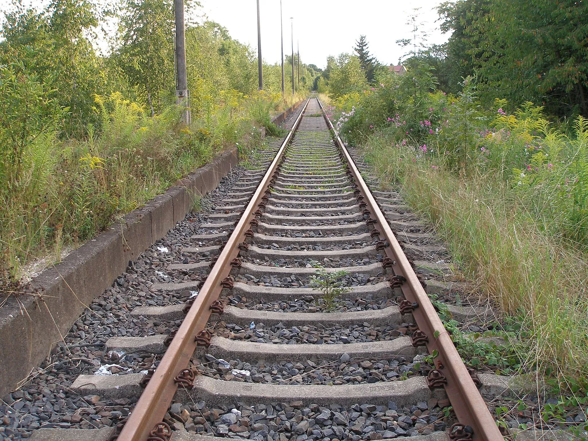 Photo showing: Zugewachsener Bahnsteig in Droyßig mit in den 1990er Jahren erneuertem Gleis, Blick nach Westen, 17. August 2008