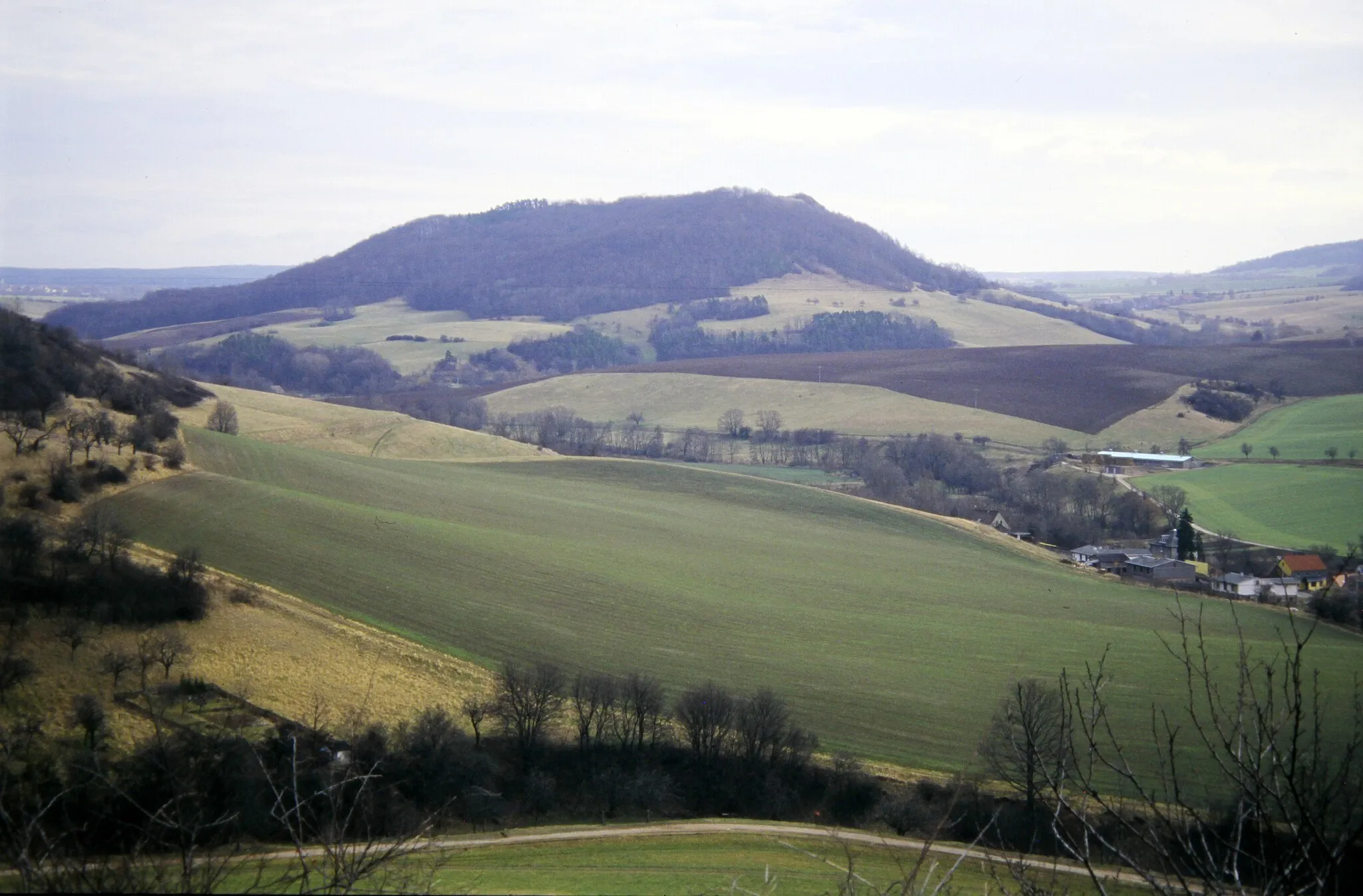 Photo showing: Alter Gleisberg, 1995