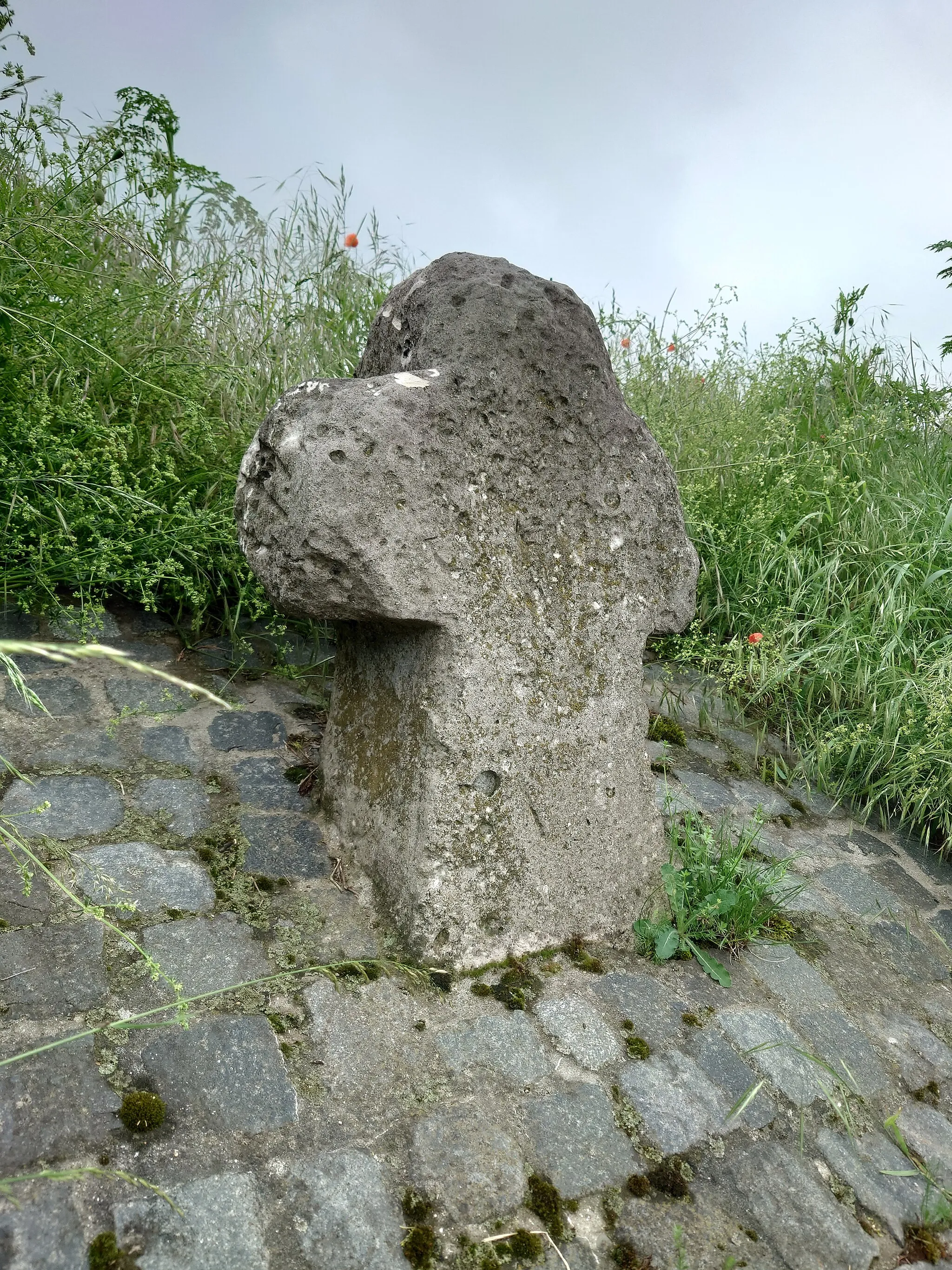 Photo showing: Sühnekreuz am Ollaberg bei Ampleben