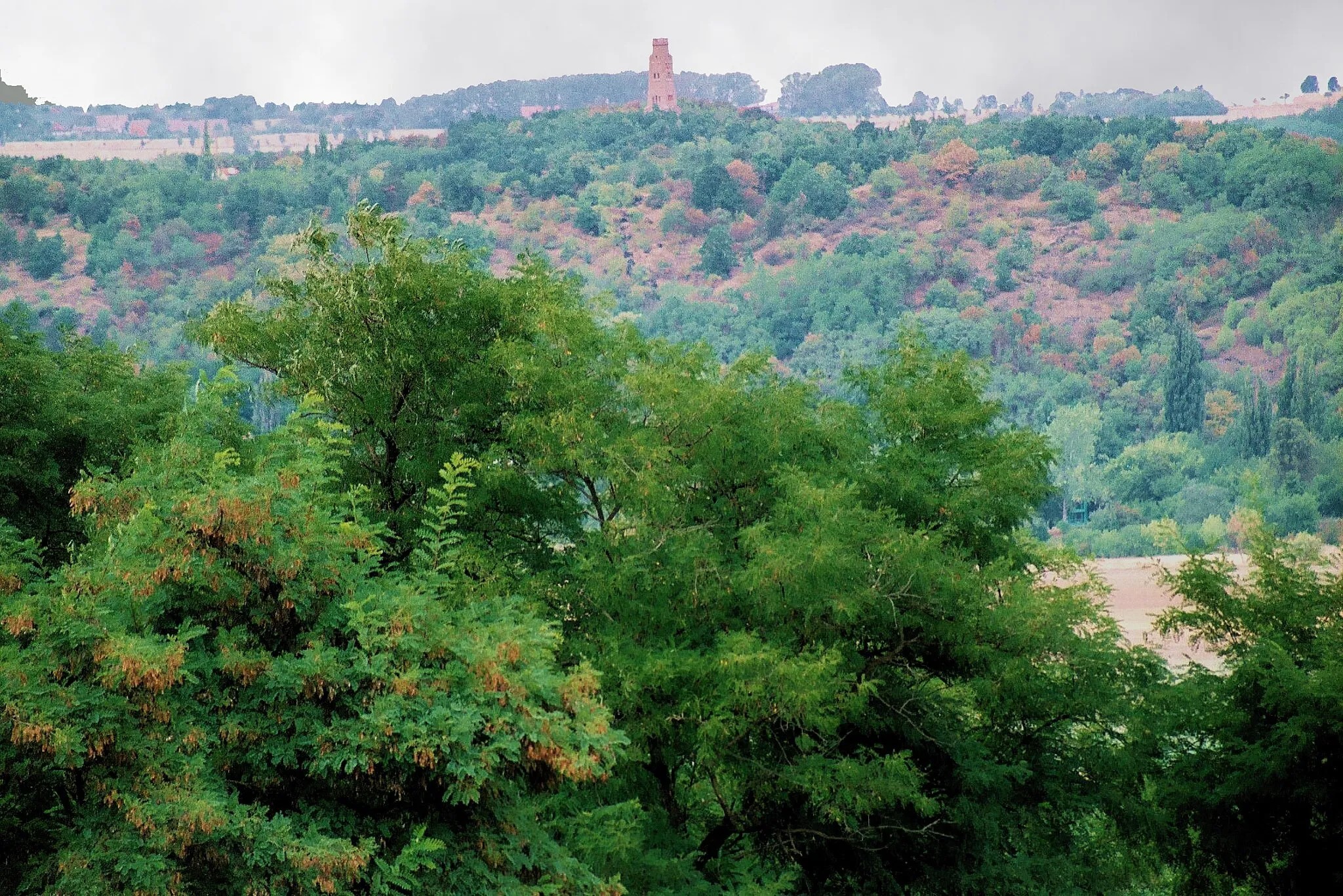 Photo showing: Wettin, view from Fienstedt to the valley of the Saale and to the Bismarck tower