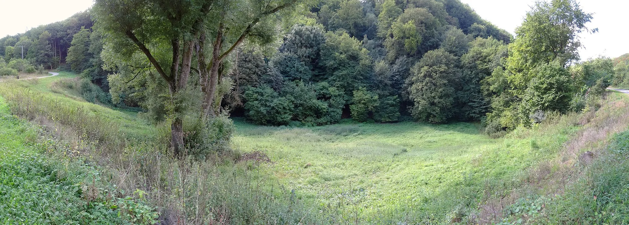 Photo showing: die Haselbornschwinde östlich Questenberg