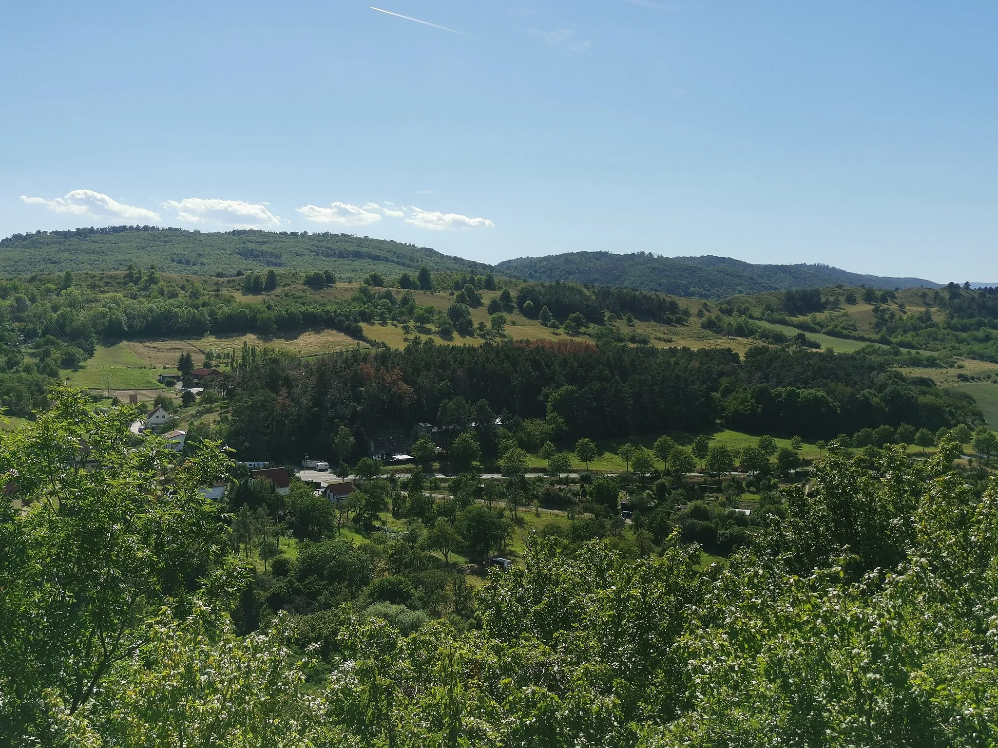 Photo showing: Blick von der Burgruine Altenburg zum NSG Ziegenberg bei Heimburg. In der Bildmitte die sogenannte Arschkerbe