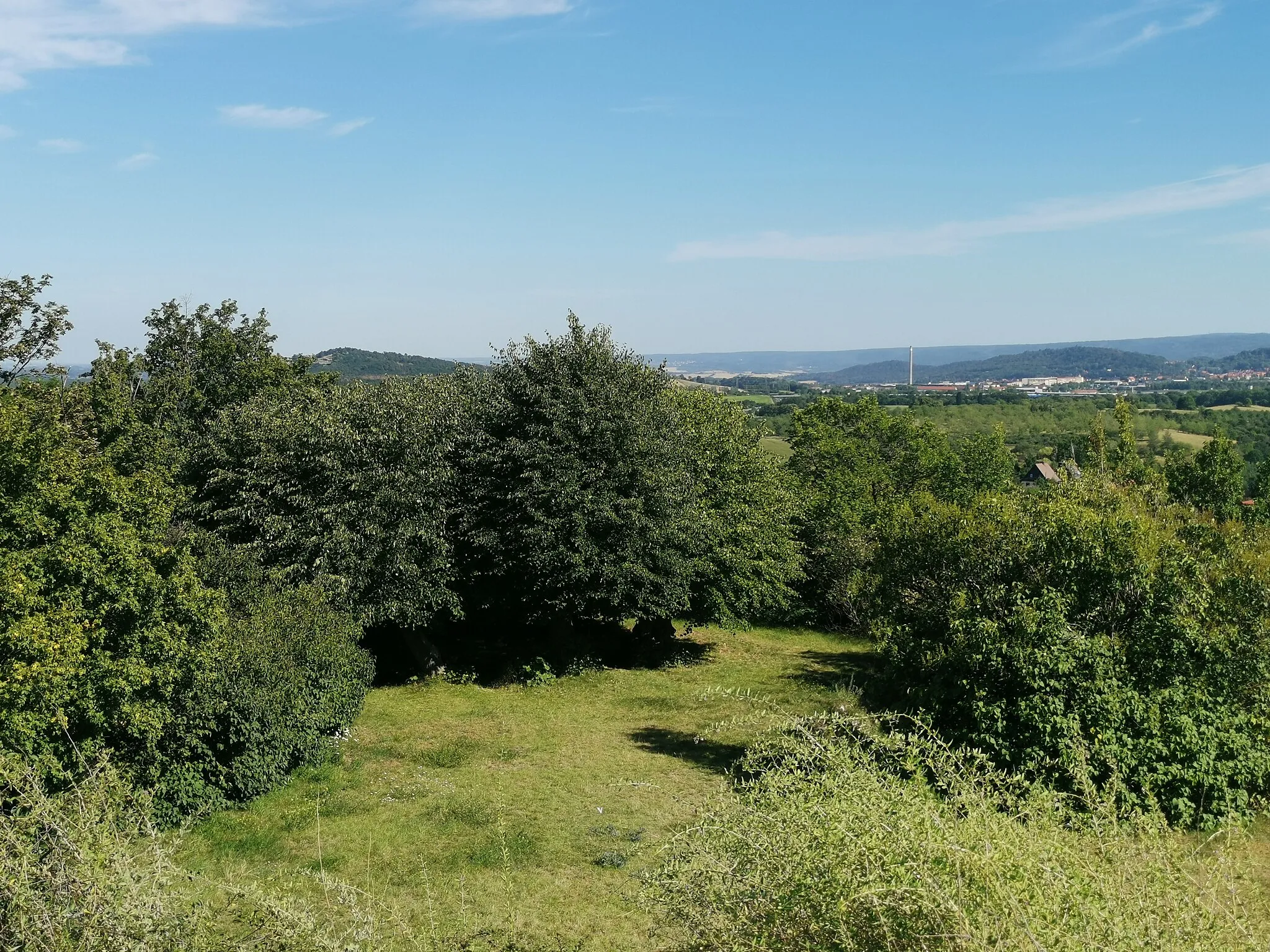 Photo showing: Als Naturdenkmal geschützte Gerichtslinden auf der Altenburg in Heimburg