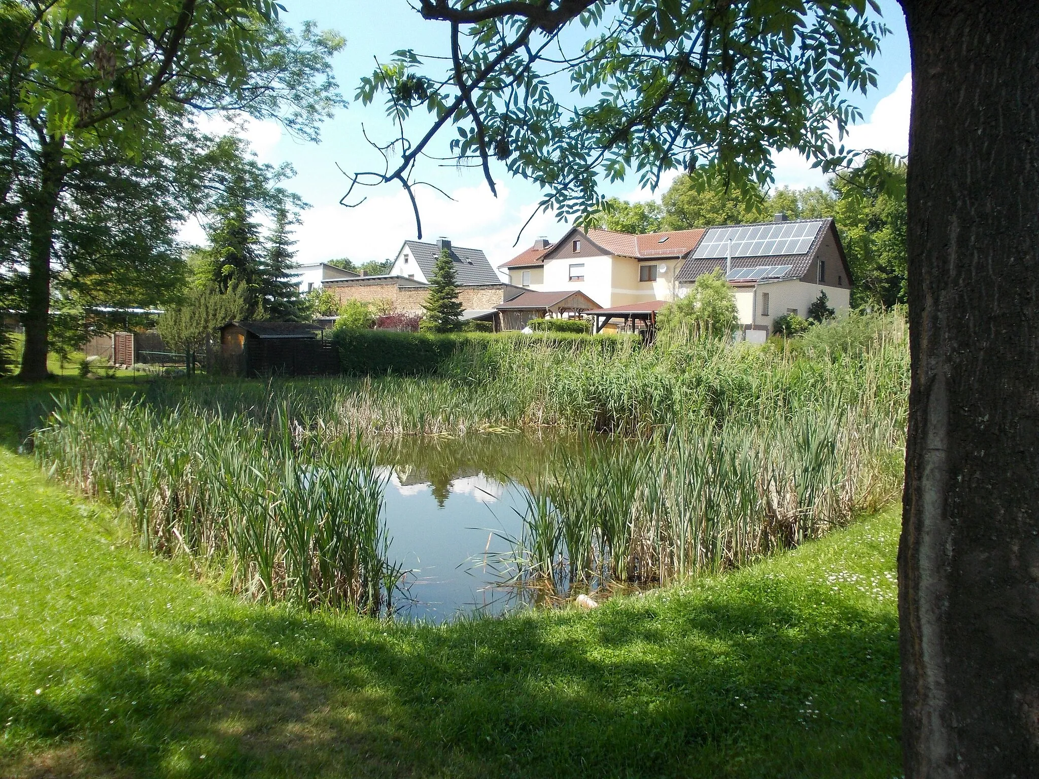 Photo showing: Pond in Köchstedt (Teutschenthal, district: Saalekreis, Saxony-aAnhalt)