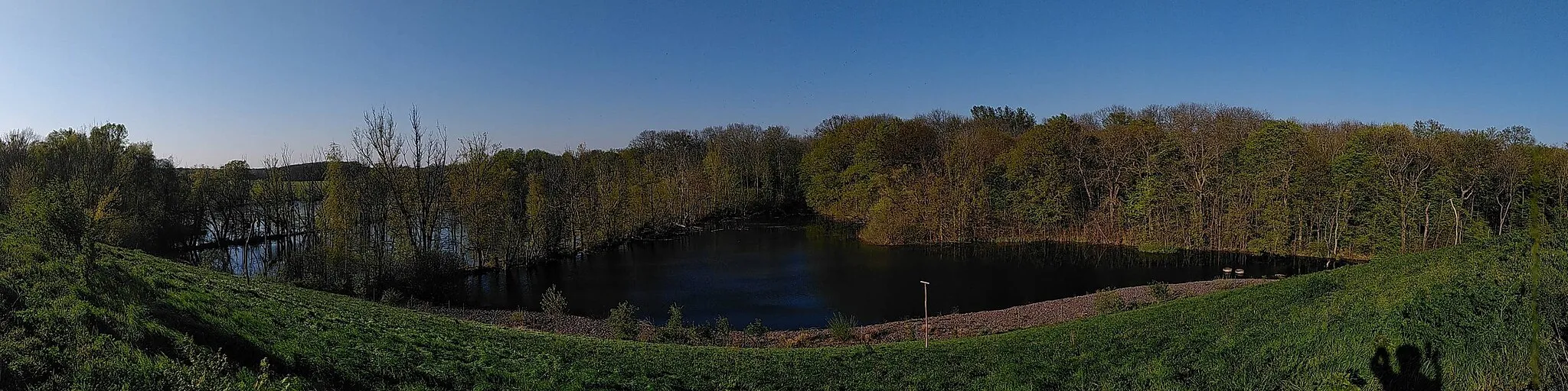 Photo showing: Großer Tümpel am Rand des NSG Burgaue (fotografiert von der Deponie Jahnstraße) im April 2020.