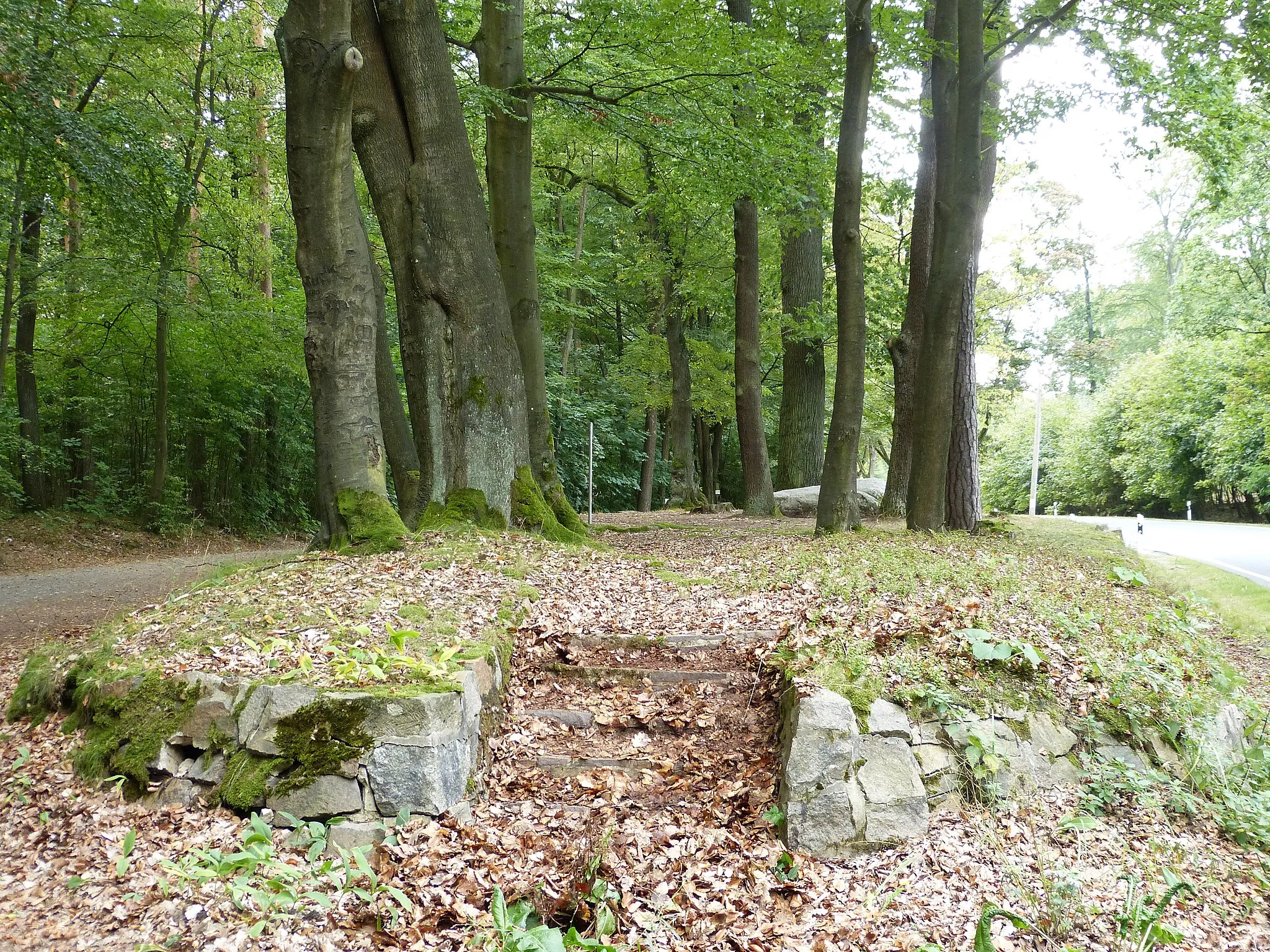 Photo showing: Lutherstein in der Dübener Heide an der B2