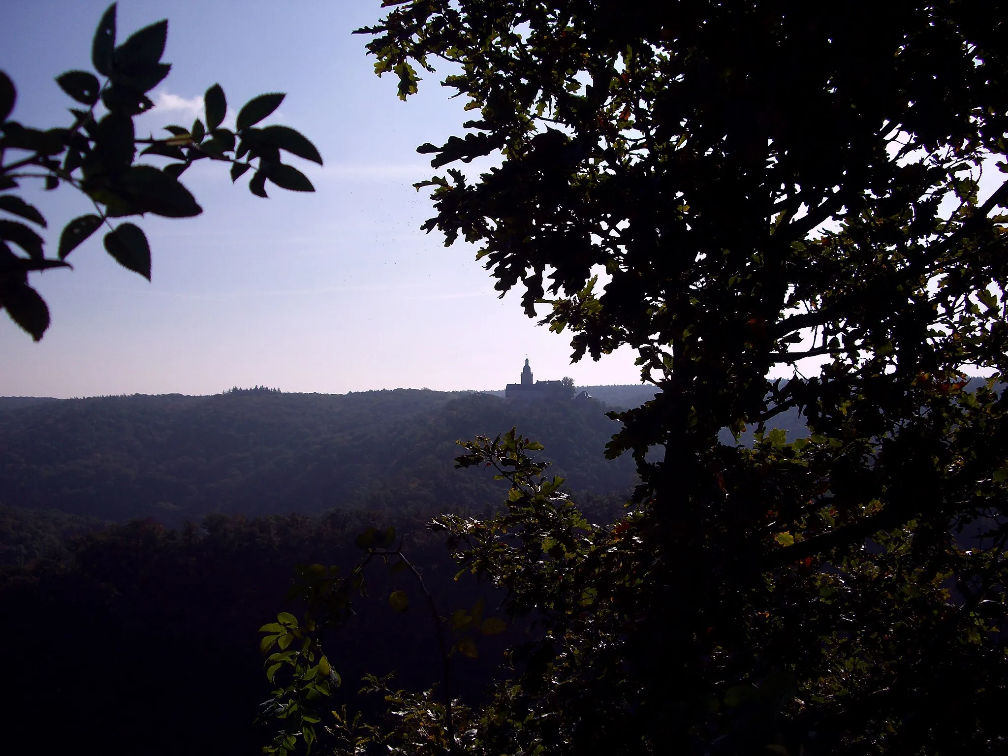 Photo showing: Burg Falkenstein