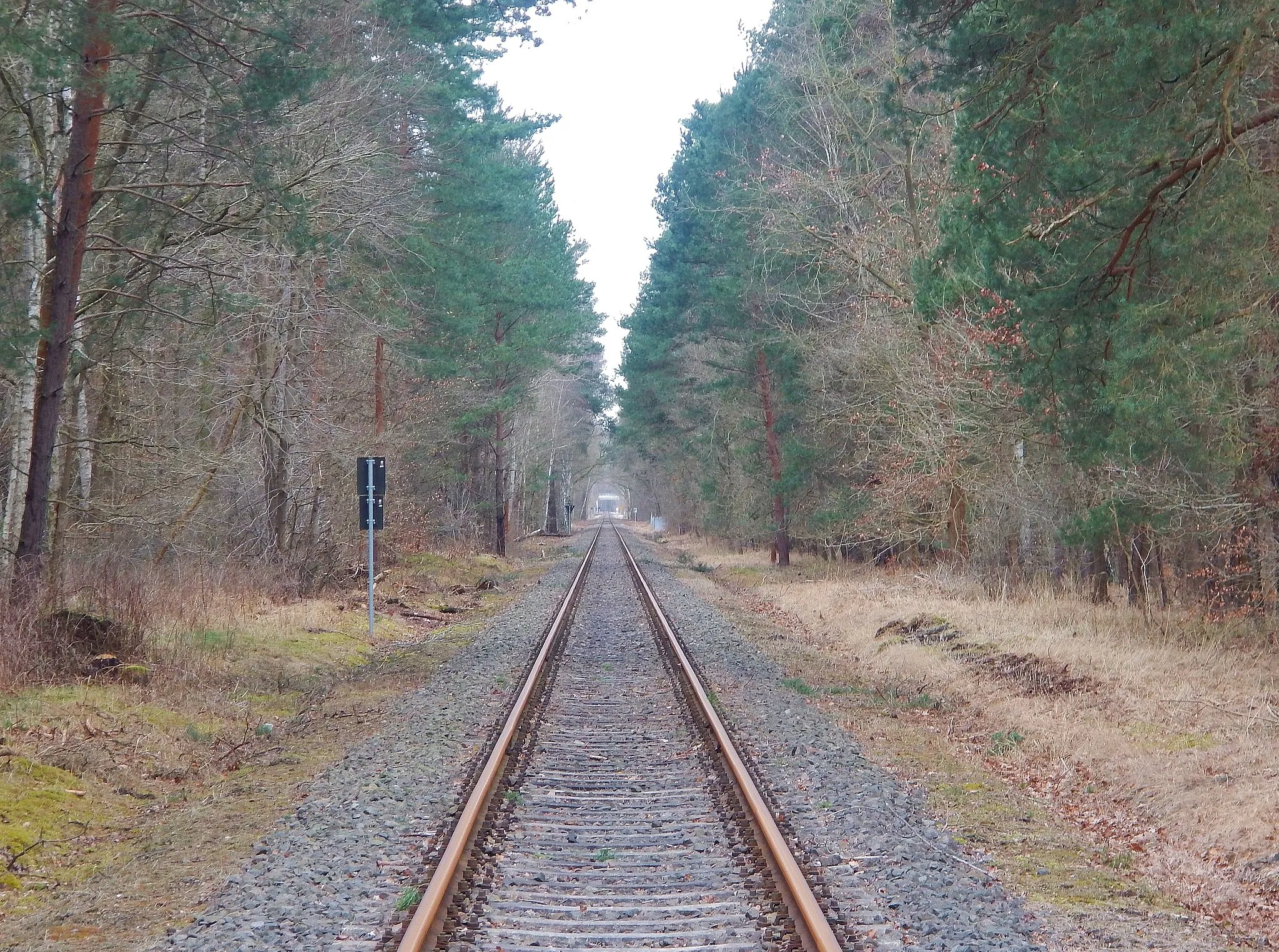 Photo showing: Beim Haltepunkt Kapen in Oranienbaum-Wörlitz