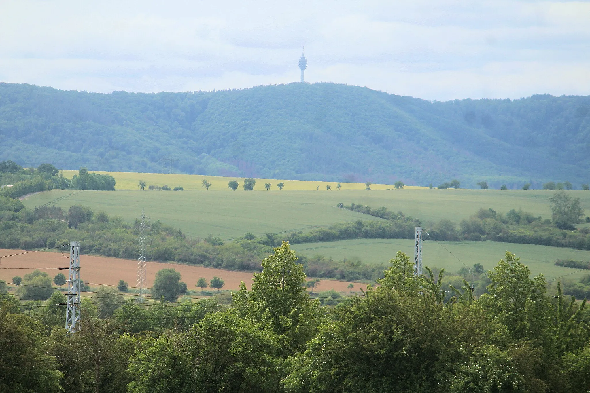 Photo showing: Wallhausen (Helme), view to the Kulpenberg