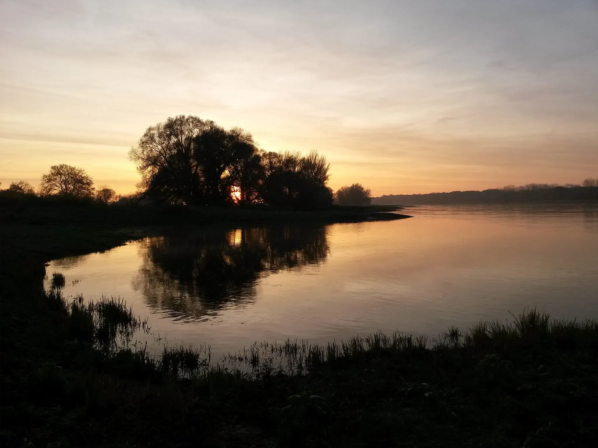 Photo showing: Twilight at the Elbe near Magdeburg/Hohenwarthe in the Middle Elbe Biosphere Reserve, Saxony-Anhalt (Germany)