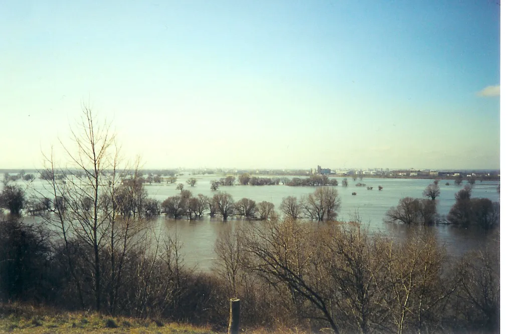 Photo showing: Hohenwarthe, Blick vom Weinberg auf die Elbe bei Hochwasser in Richtung Magdeburg