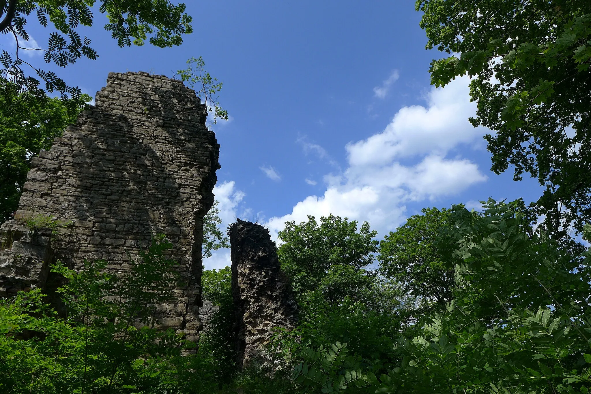 Photo showing: Reste der Ruine der Stecklenburg am nördlichen Harzrand bei Stecklenberg