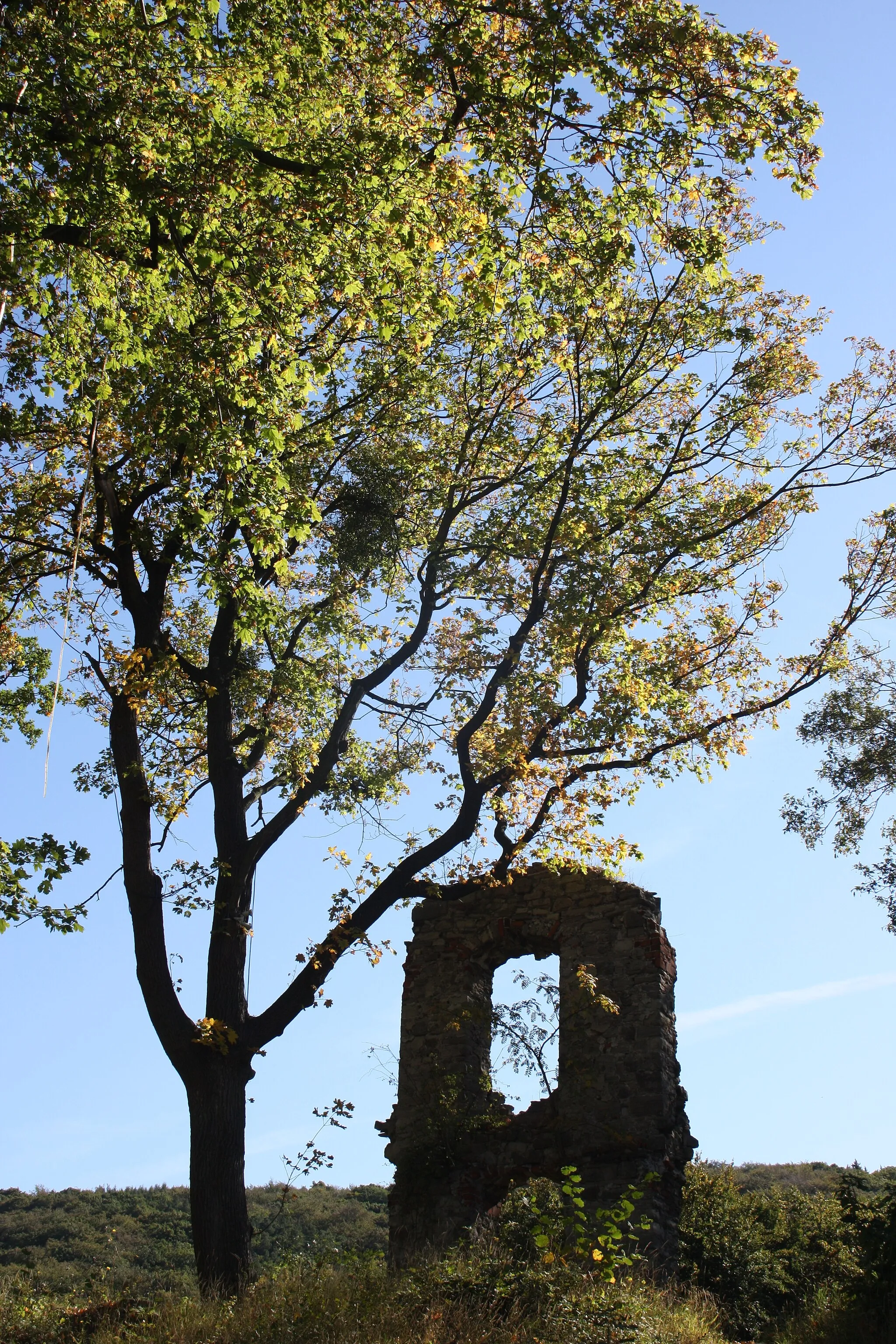 Photo showing: Harz Stecklenberg Wanderung  Lauenburg im Herbst