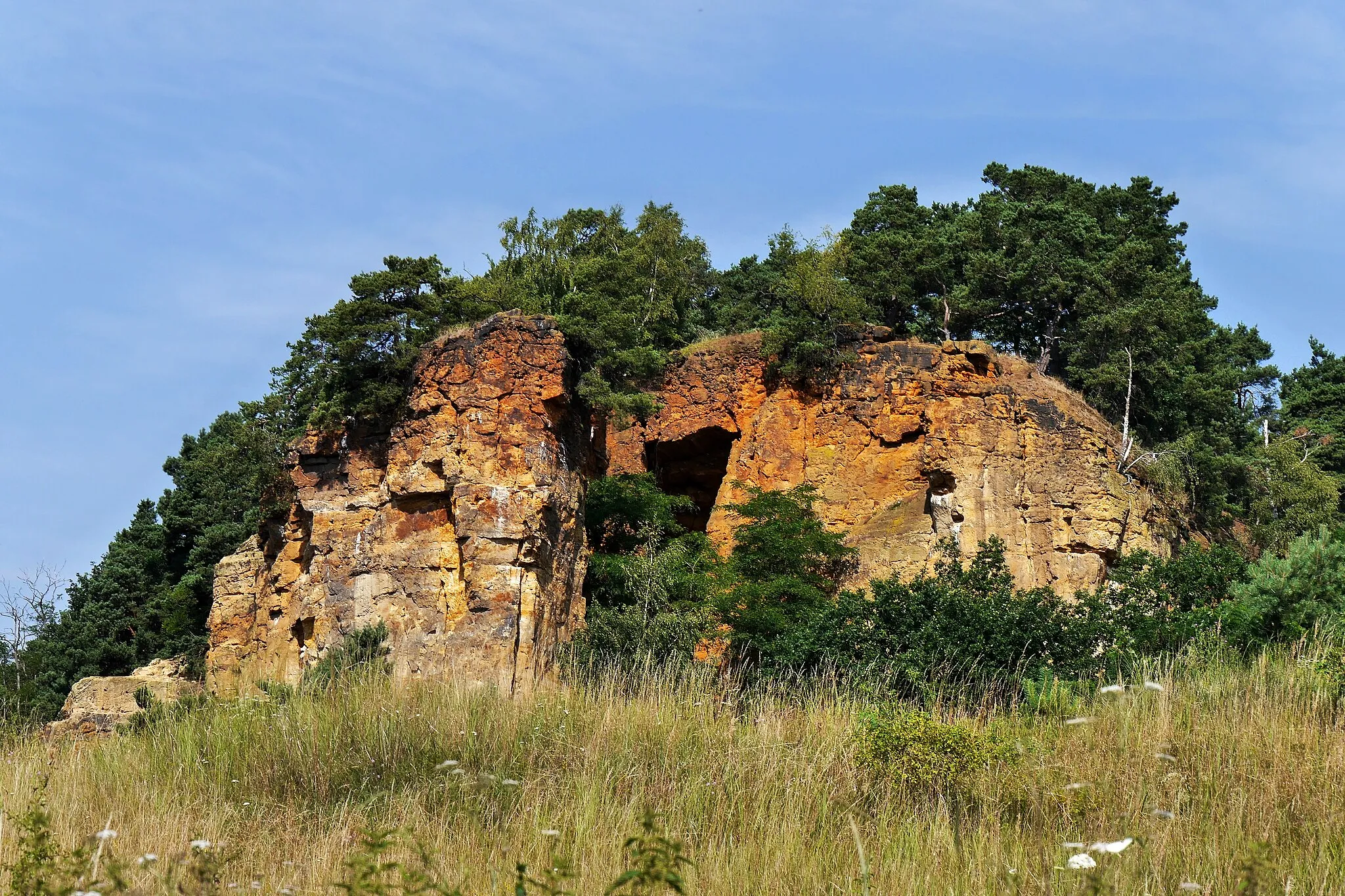 Photo showing: Lehof-Felsen nördlich von Quedlinburg, Sachsen-Anhalt