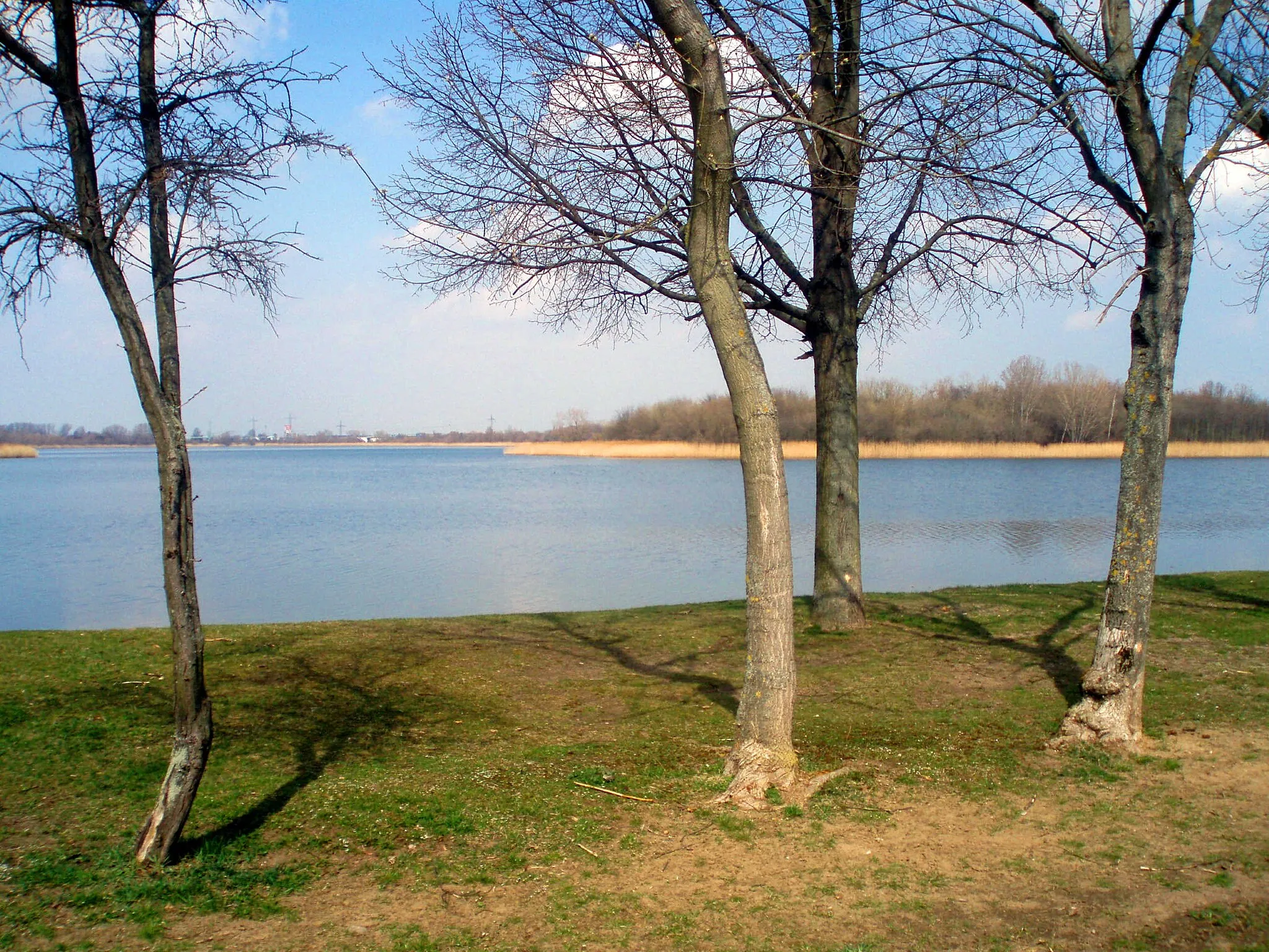 Photo showing: Magdeburg, Neustädter See