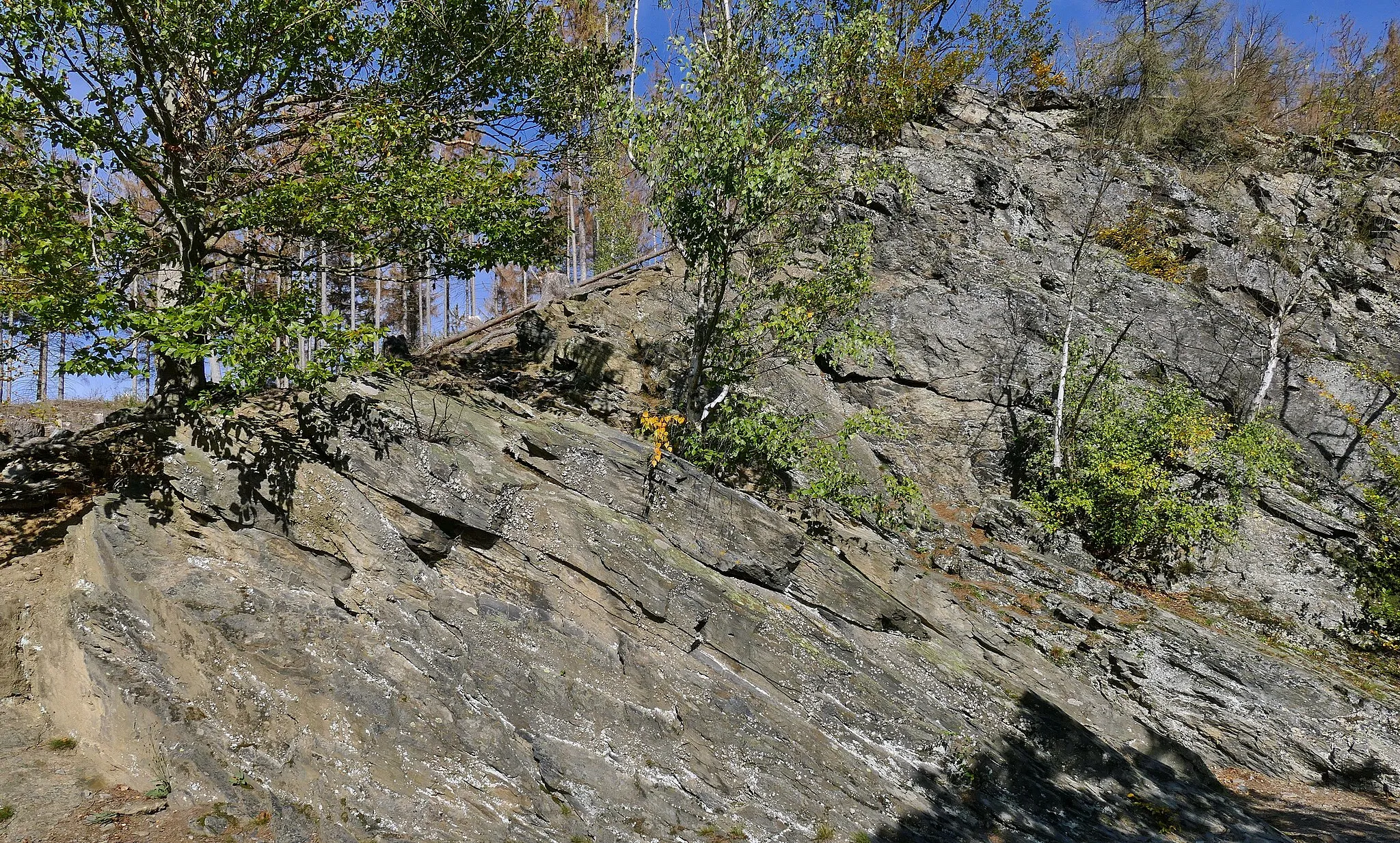 Photo showing: Am Wanderweg entlang der Bode, in der Nähe von Treseburg, sind viele Felsaufschlüsse zu sehen, die mit Bäumen, Sträuchern, Farnen, Gräsern und Kräutern locker bewachsen sind.  Das Gebiet liegt im Naturschutzgebiet Bodetal (NSG 22).