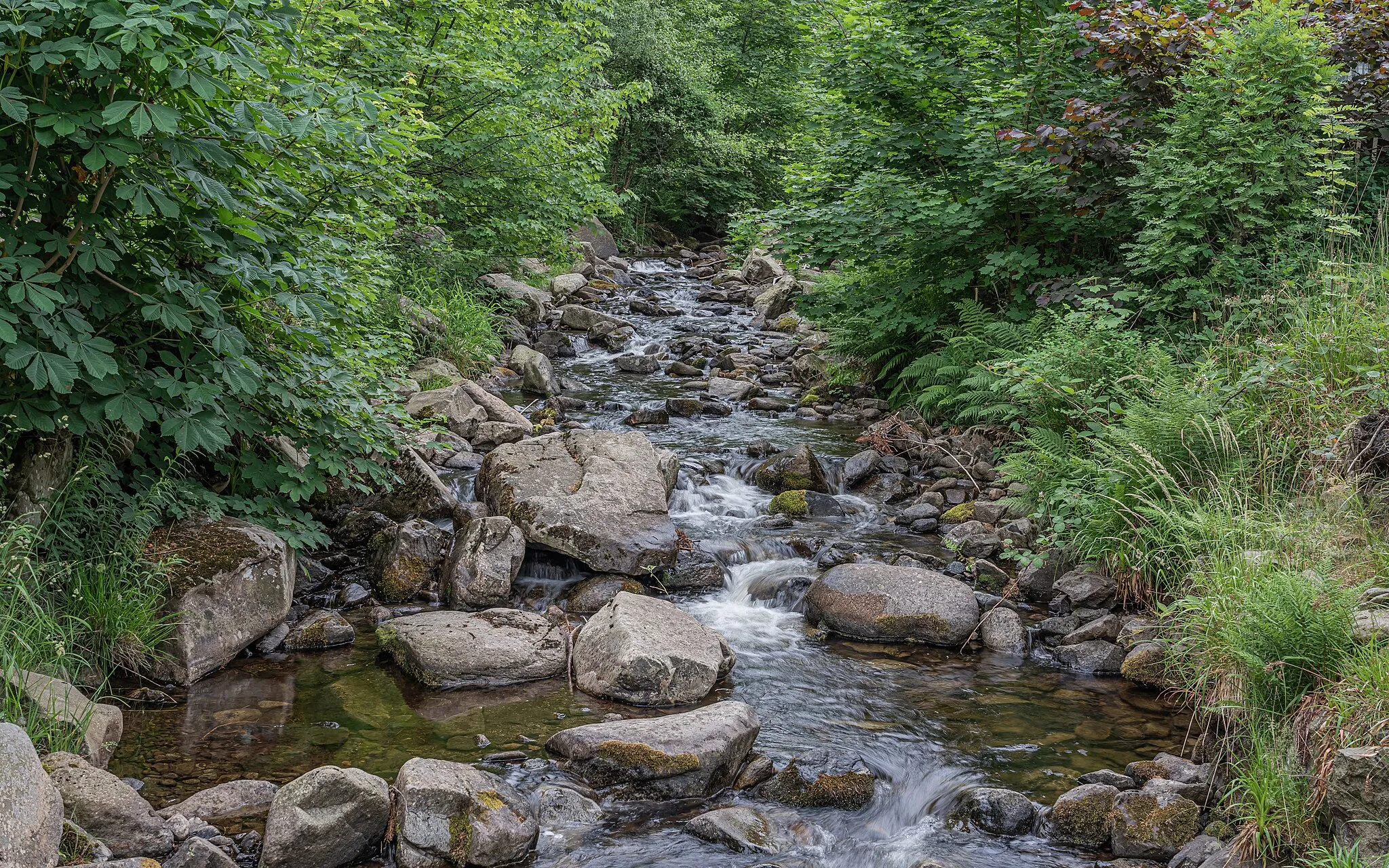 Photo showing: Radau River at its waterfall in Bad Harzburg, Lower Saxony, Germany