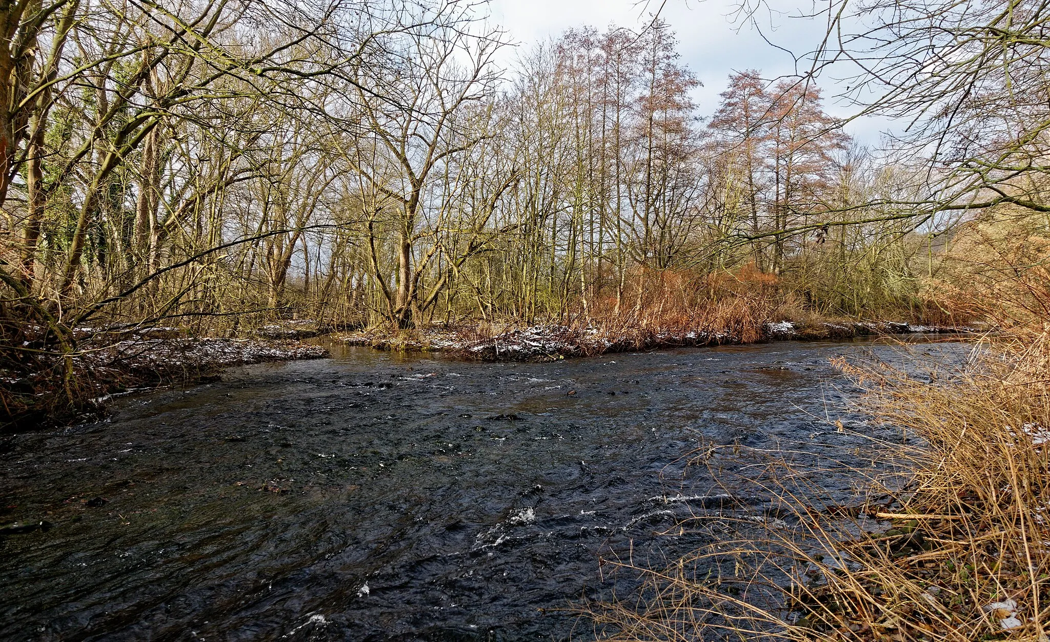 Photo showing: Einmündung der Radau in die Oker östlich des Vienenburger Sees