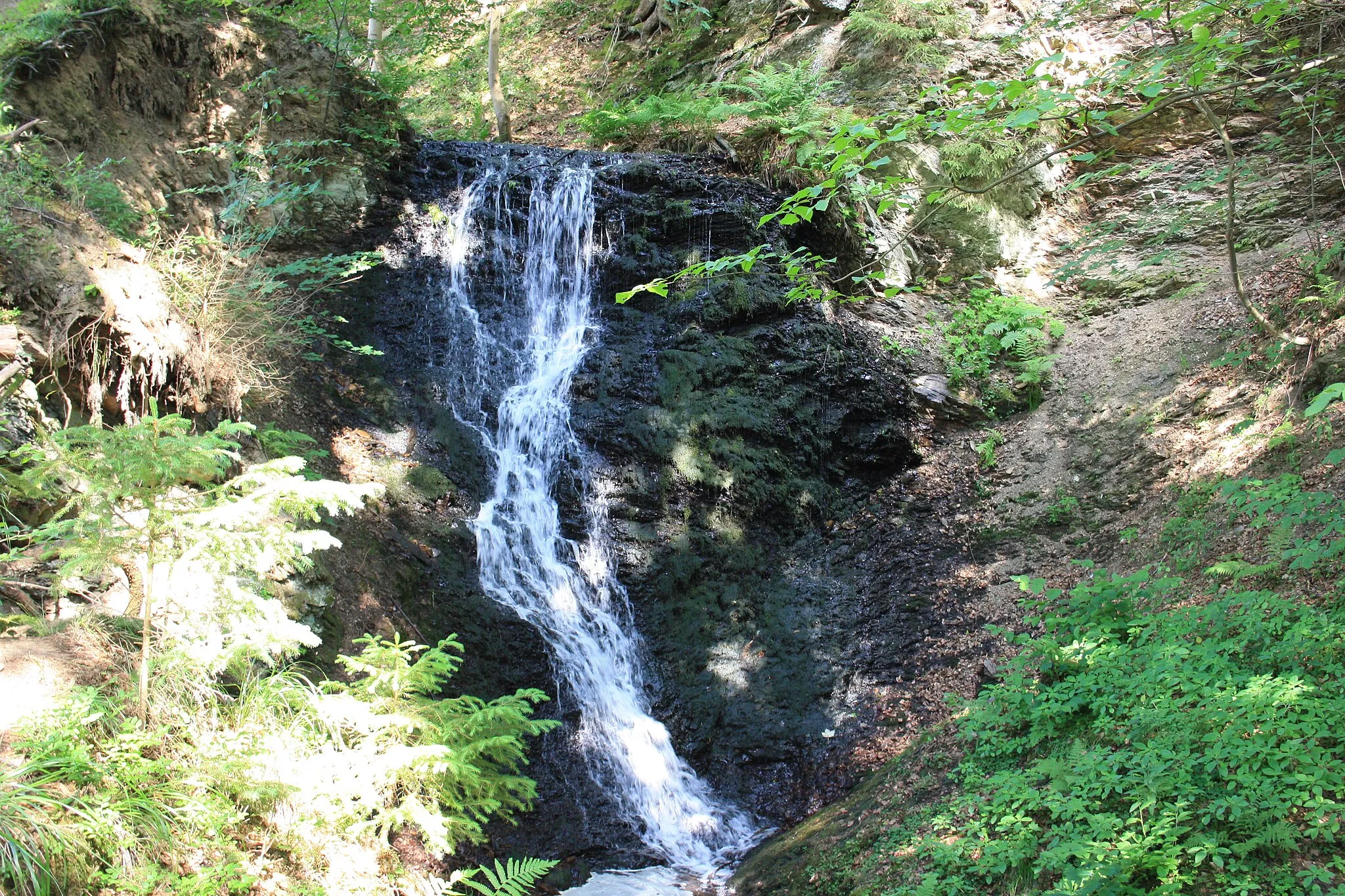 Photo showing: Wanderung Harz  - Rund um Zorge - Steinbach-Wasserfall unterhalb des Neuen Steinbacher Teiches