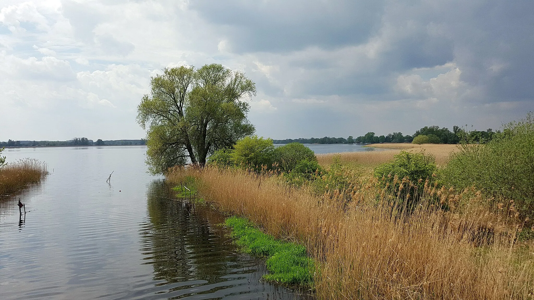 Photo showing: Nature Park Westhavelland: An arm of the Rhin flows into the Hohennauener See