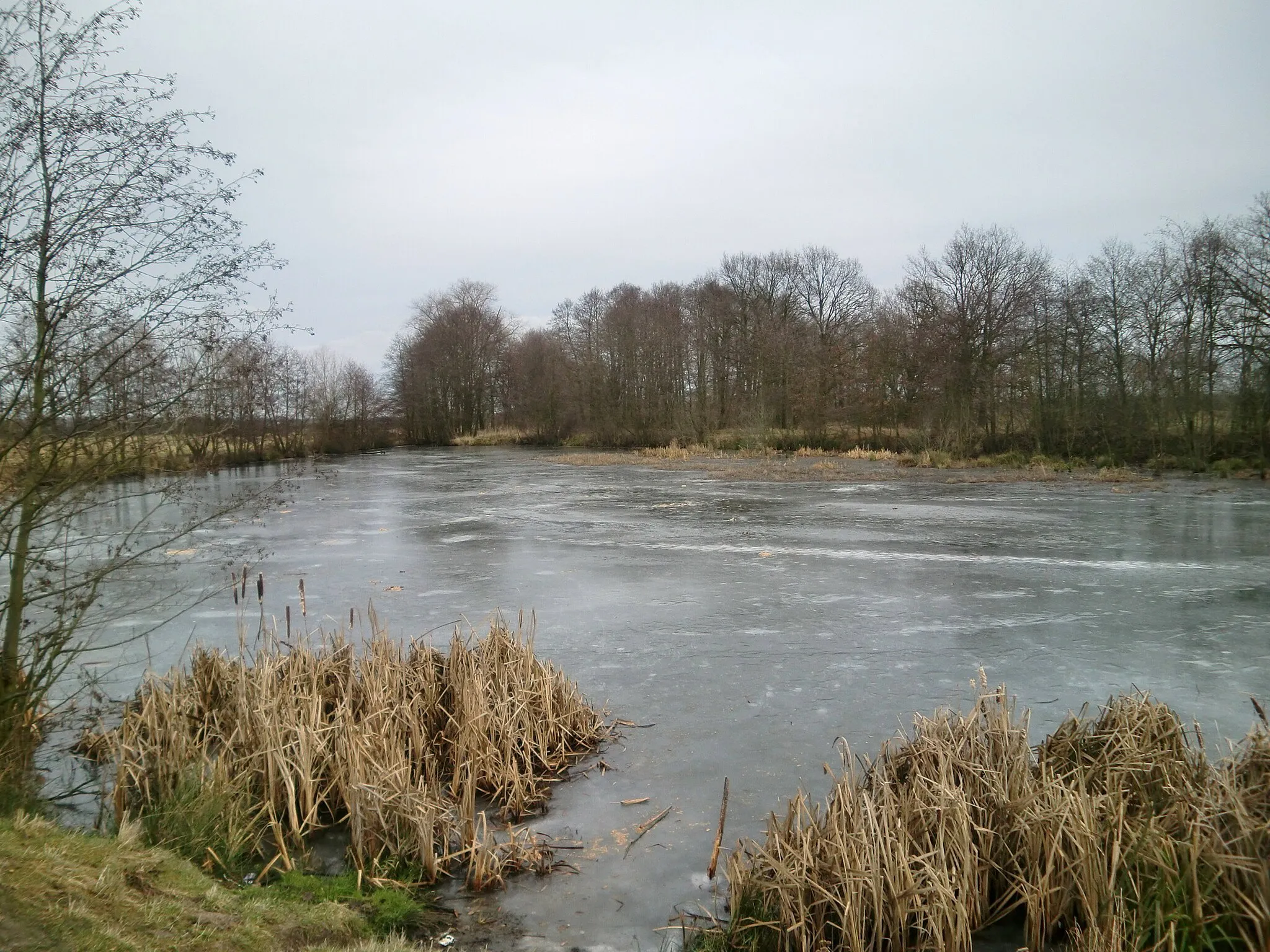 Photo showing: Schleußer Teich im Winter, zugefroren