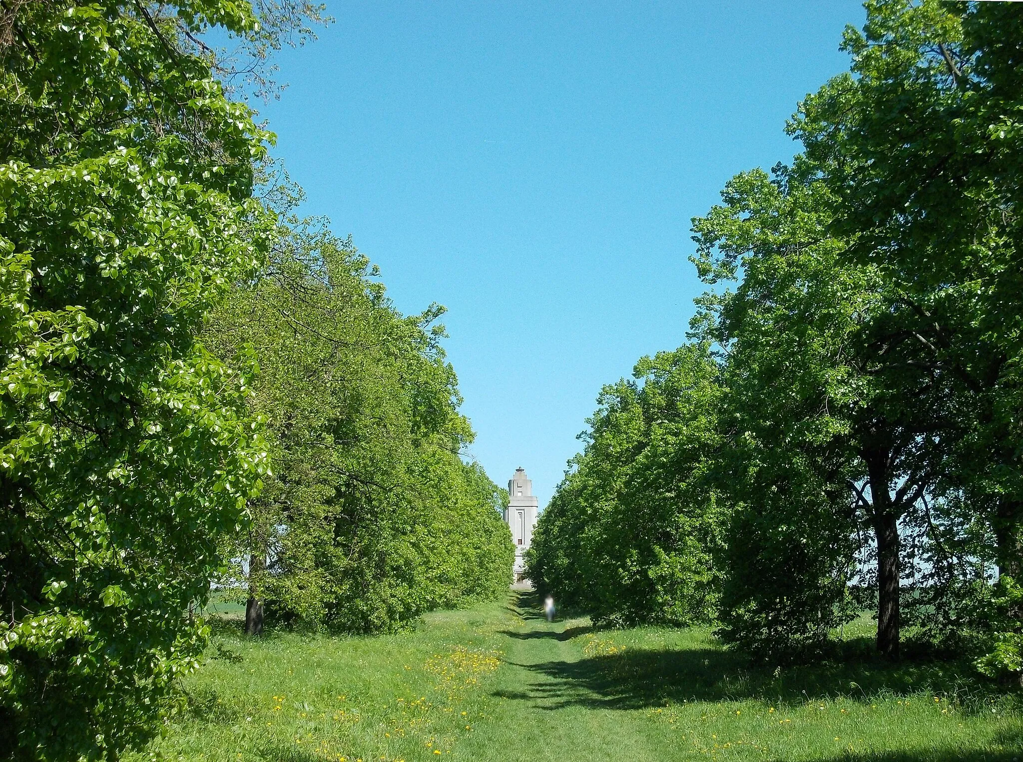 Photo showing: Crimean lime avenue leading to the Bismarck tower of Hänichen (Leipzig-Lützschena, Saxony)