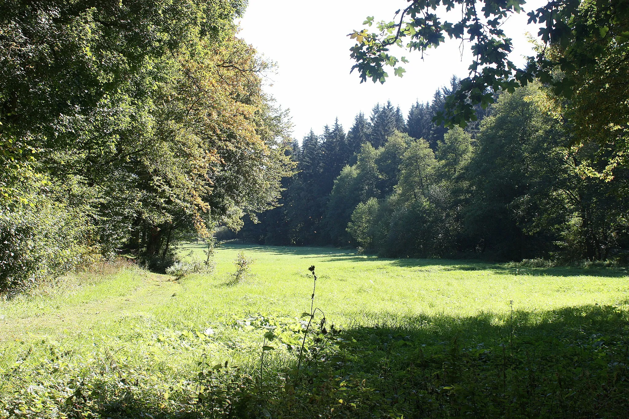 Photo showing: Dankerode, iin the valley of the Wipper