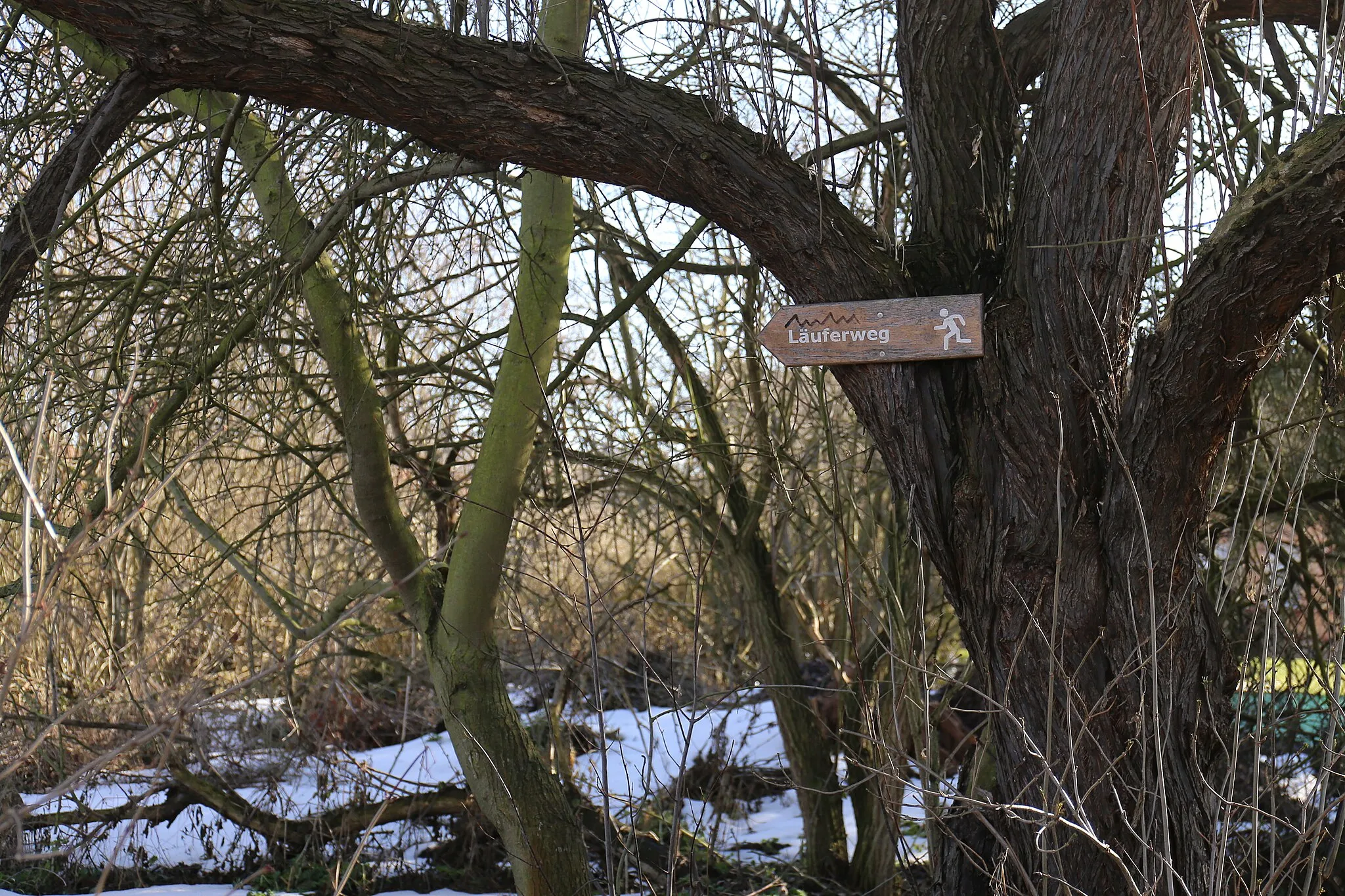 Photo showing: Der Heidesee in Halle-Nietleben, Sachsen-Anhalt.