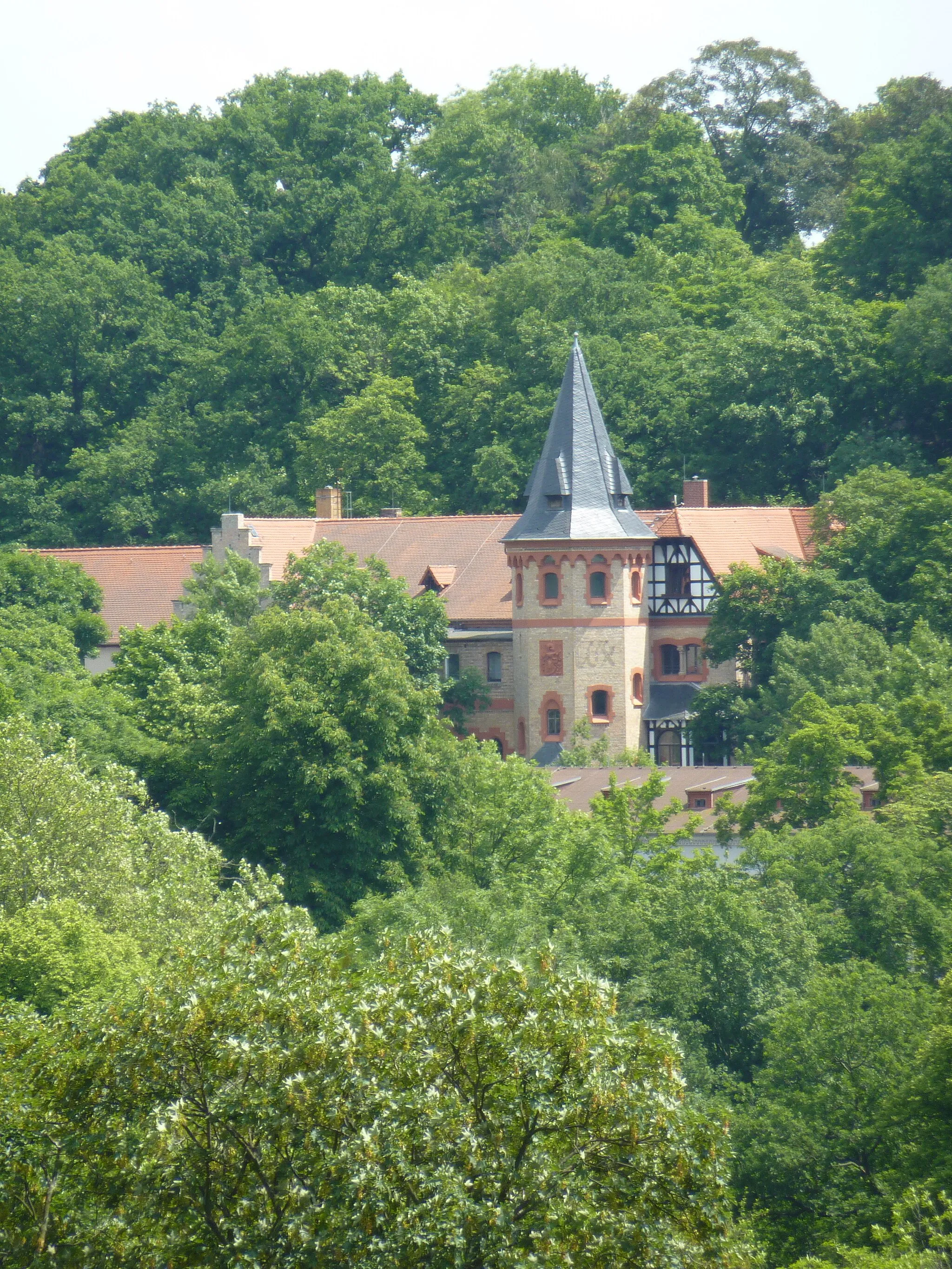 Photo showing: "Reilsche Burg" in Halle (Saaale), Seebener Straße 172, hinterer Eingang zum Zoo, ehem. Gasthaus, heute auch Sitz des Programmkinos "Luchs"
