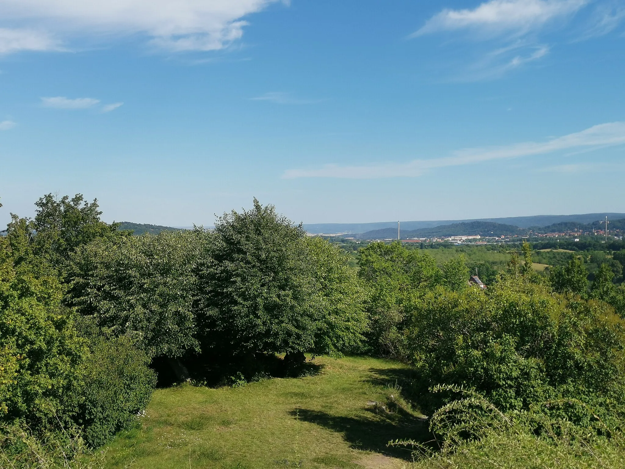 Photo showing: Als Naturdenkmal geschützte Gerichtslinden auf der Altenburg in Heimburg