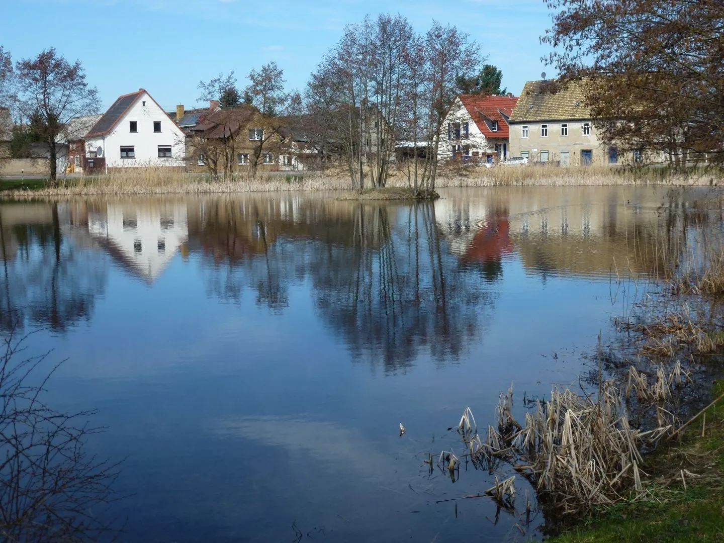 Photo showing: Teich in Badrina