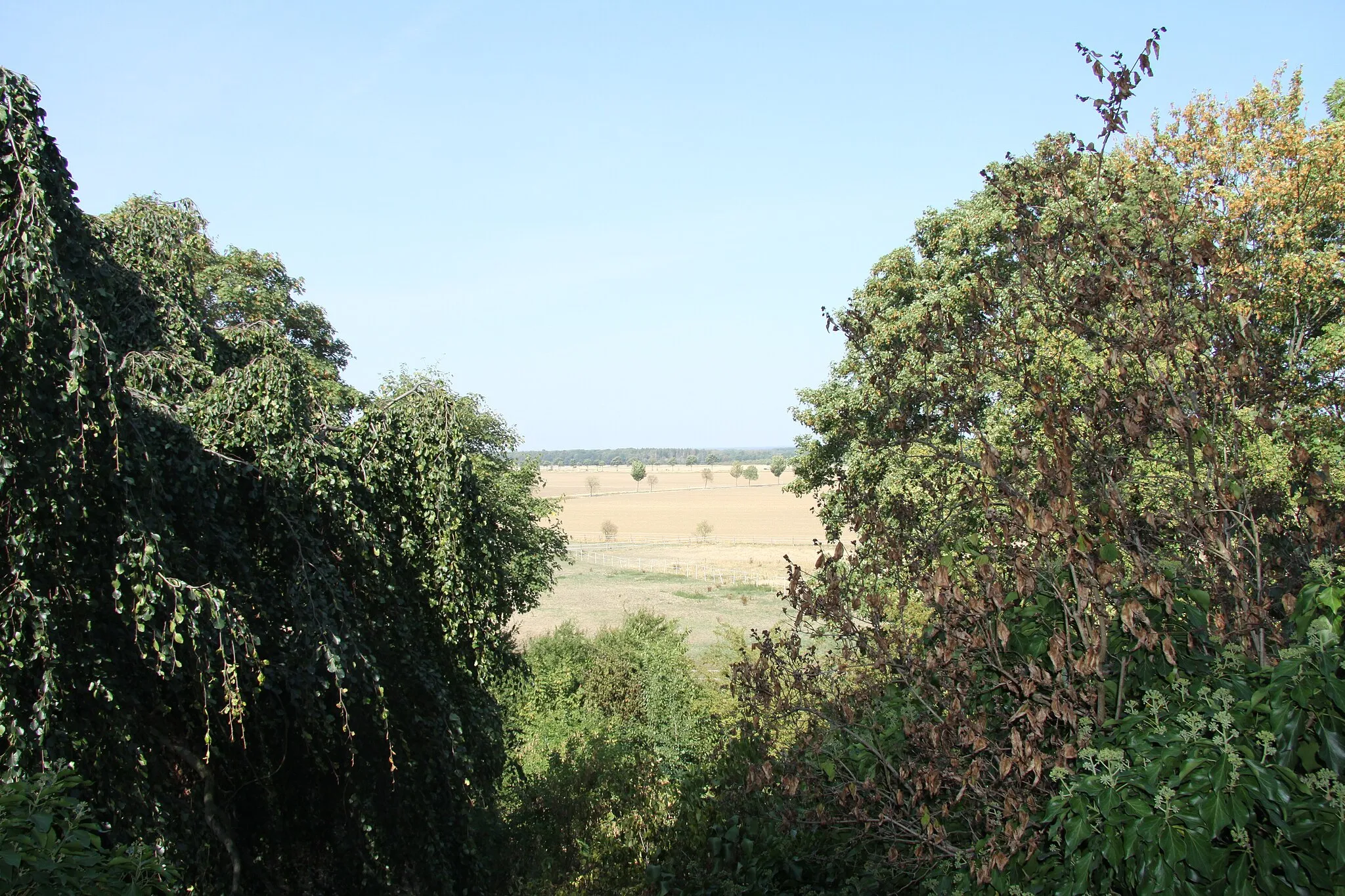 Photo showing: Blcikachse in Richtung Nordwesten vom Pflaumenberg im Rittergutspark Destedt