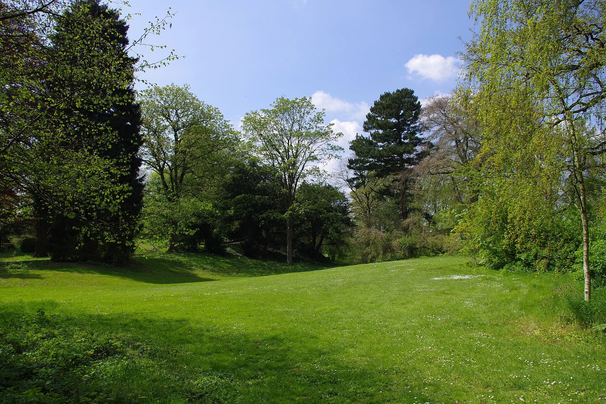 Photo showing: Mammutbäume im Park