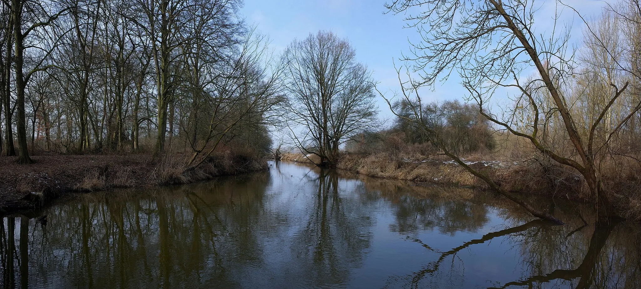 Photo showing: Dessau, der Fließgraben an der Großmutterbrücke. Der Flusslauf gehört zum Flächenhaften Naturdenkmal Fließgraben Teil I.