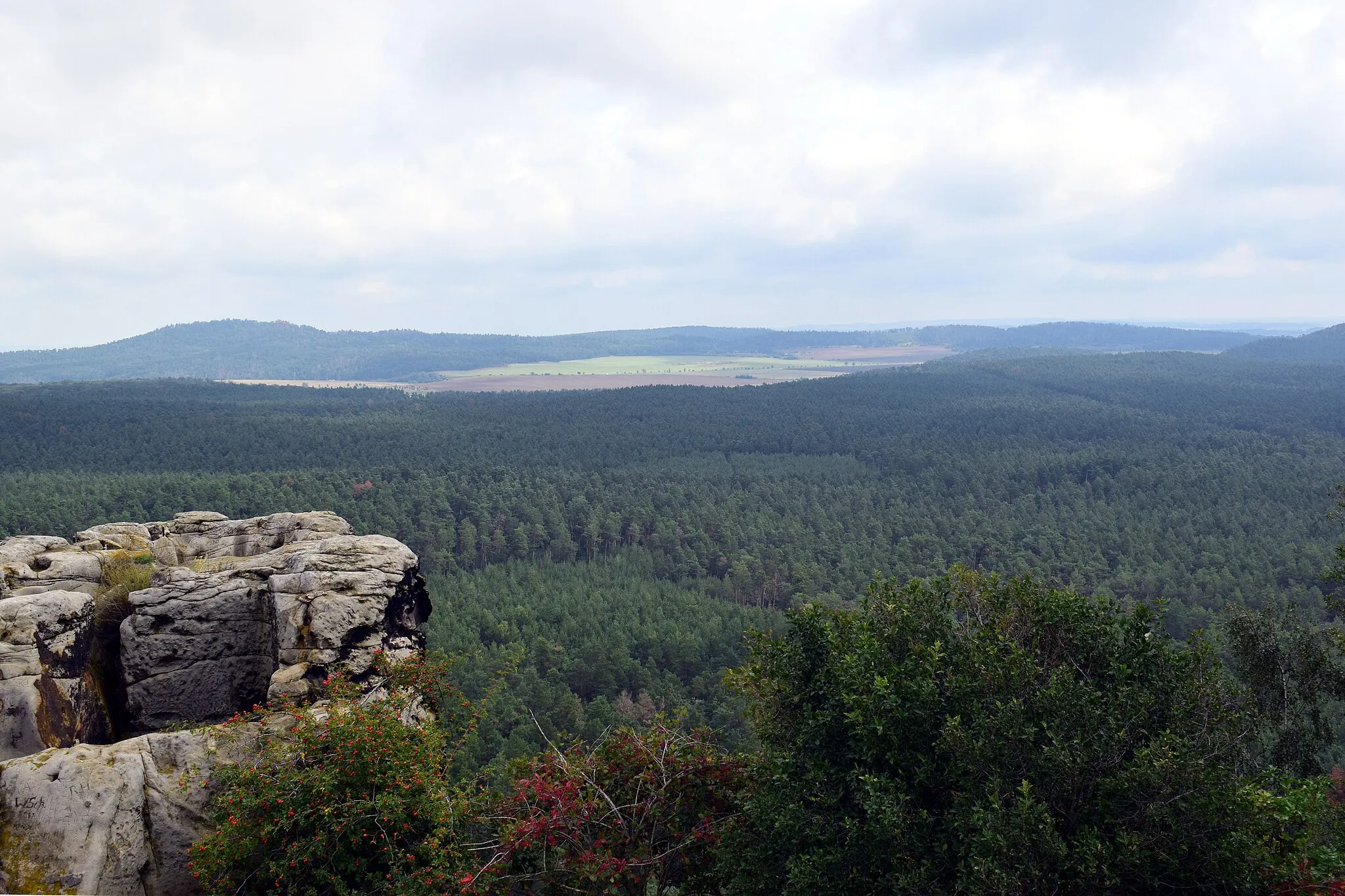 Photo showing: Blick von der Burgruine Regenstein auf das Waldgebiet Heers.