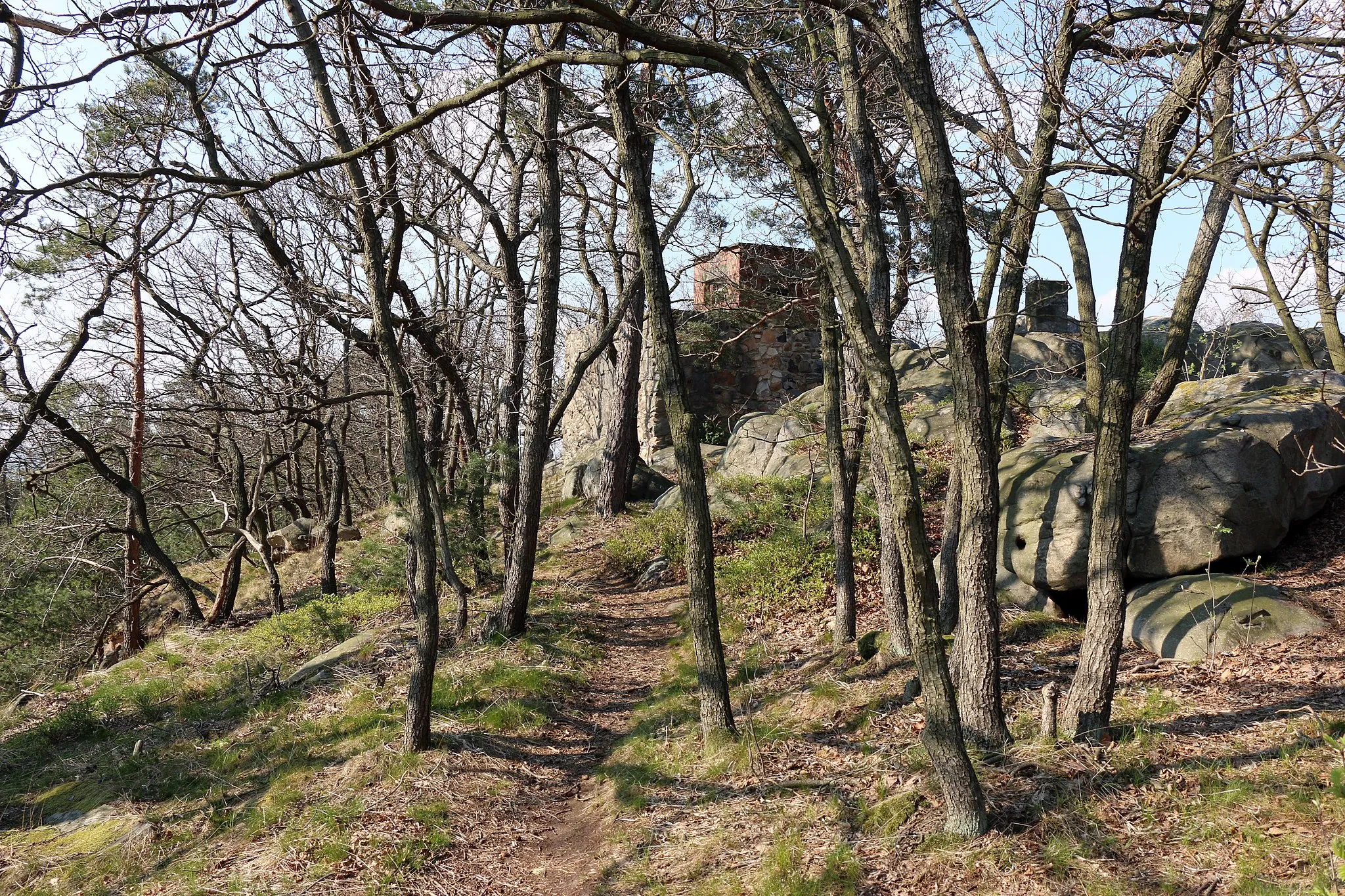 Photo showing: Auf dem Hoppelberg bei Langenstein