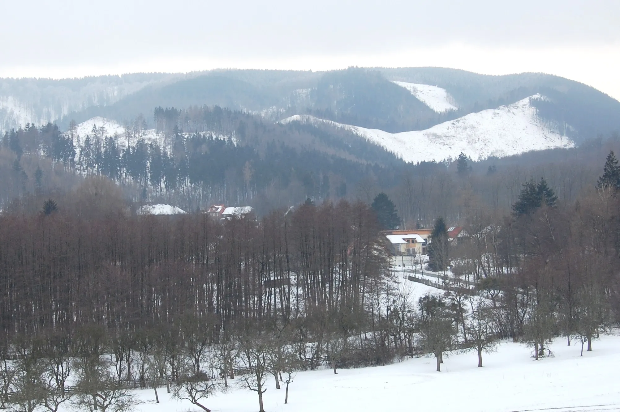 Photo showing: Blick vom Karrberg auf das winterliche Öhrenfeld