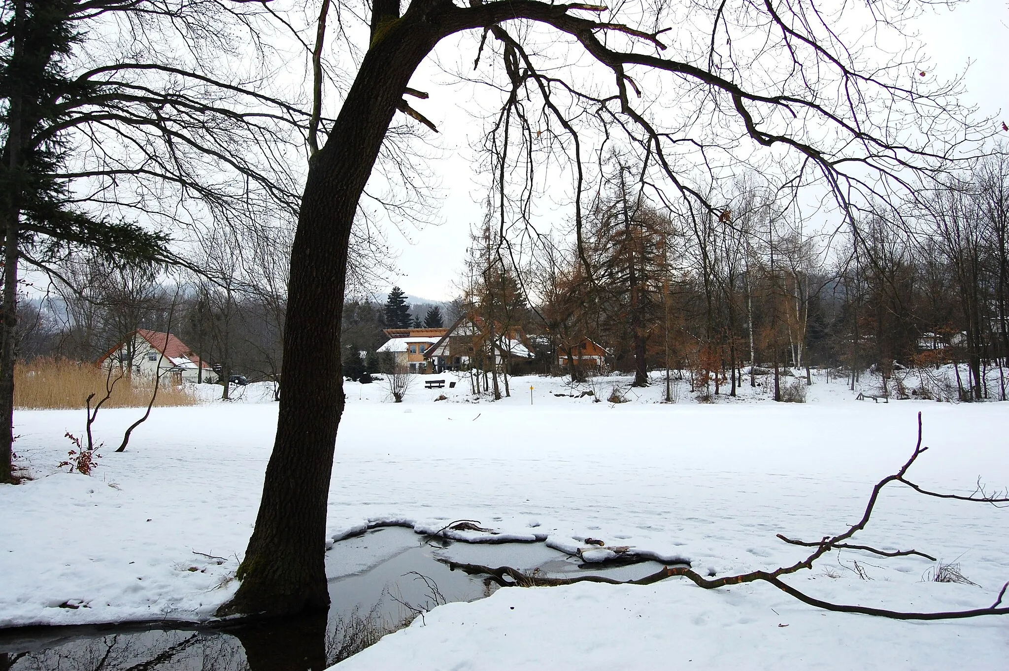 Photo showing: Rohrteich in Öhrenfeld