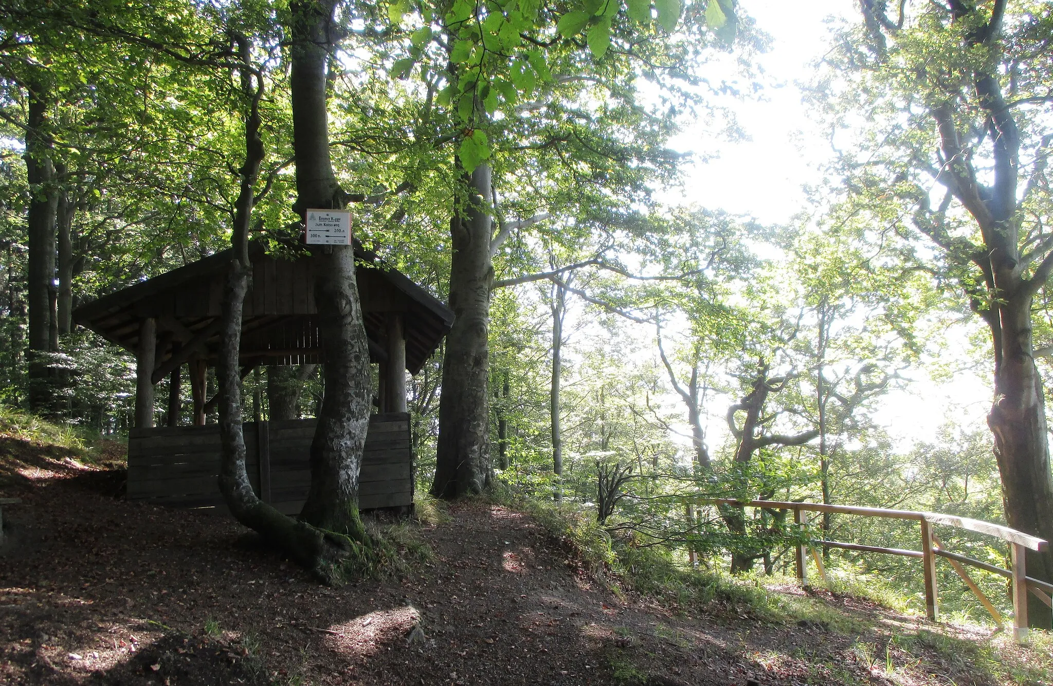 Photo showing: Bremer Klippe bei Wieda