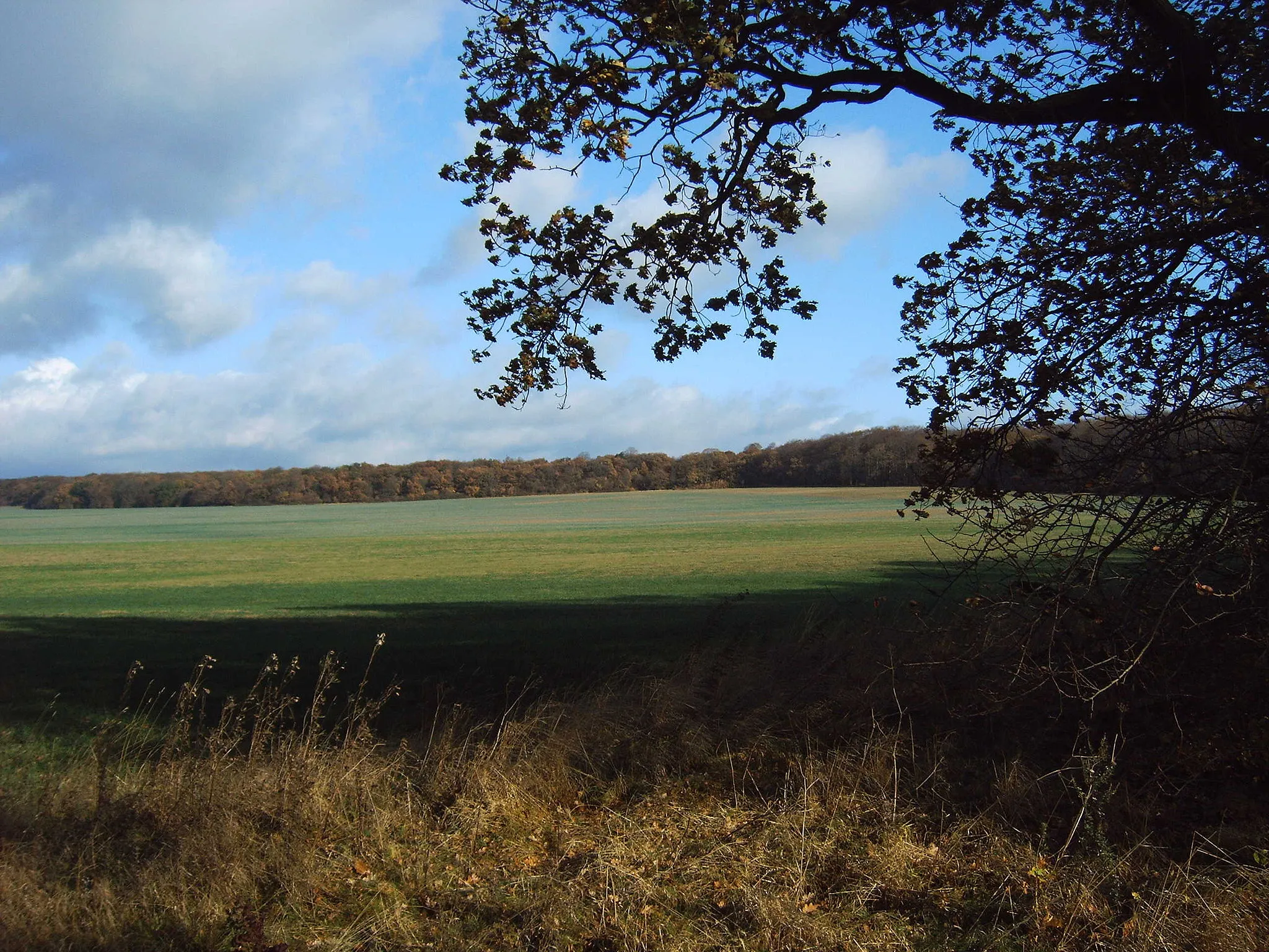 Photo showing: Hakel (südwestliche Seite), Saxony-Anhalt, Germany