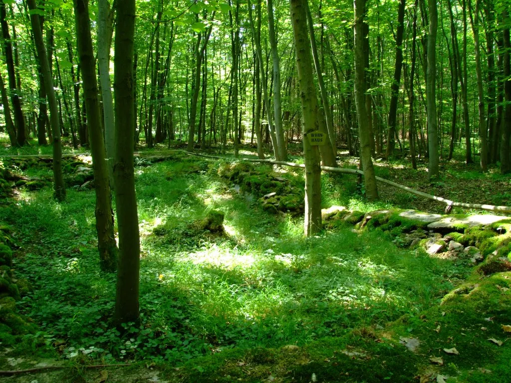 Photo showing: Die Reste(Fundament) eines Wohnhauses in der Wüstung Hohenrode