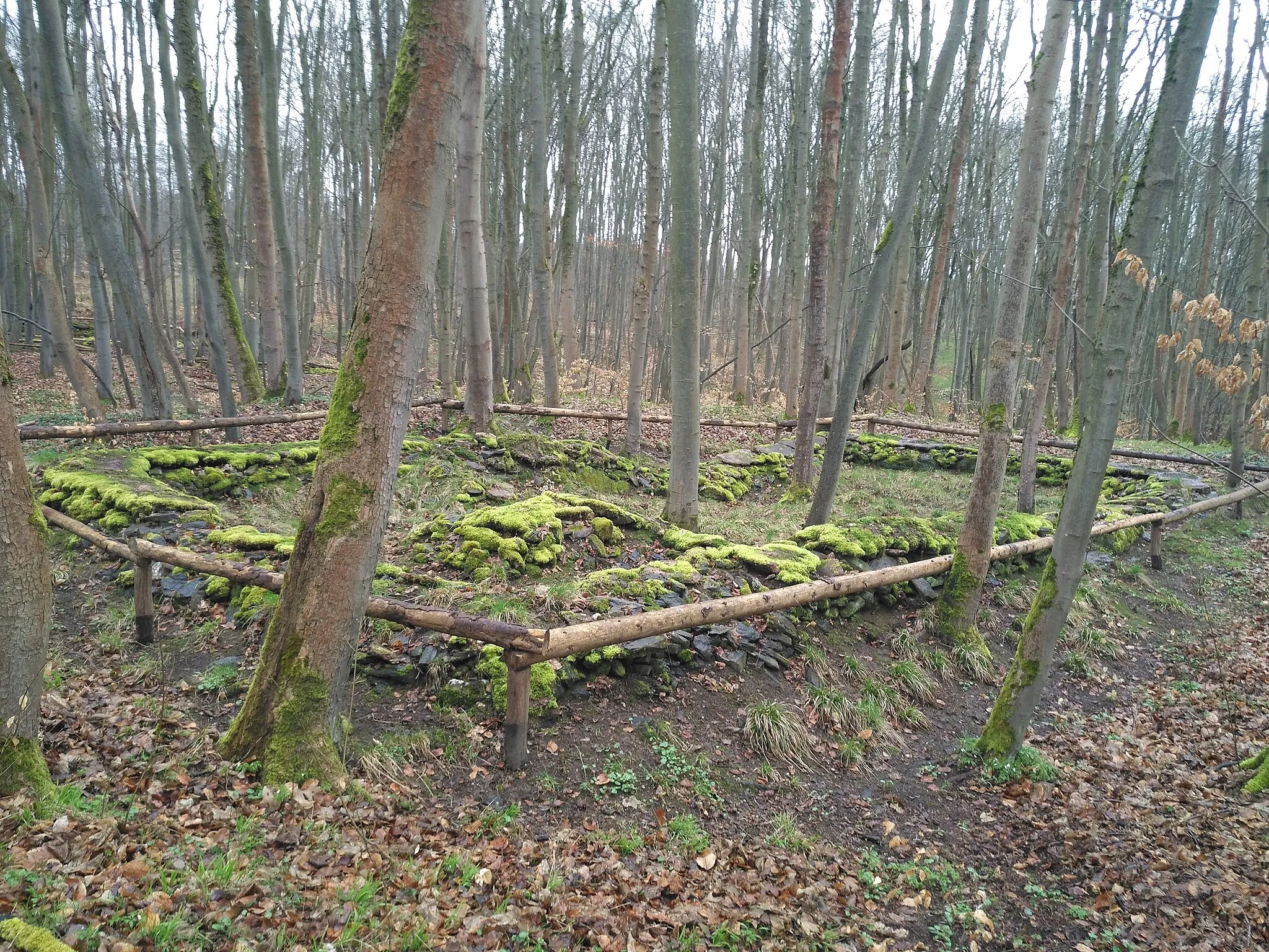 Photo showing: view of living house no. 1 of the deserted settlement of Hohenrode near Grillenberg, today covered by forest