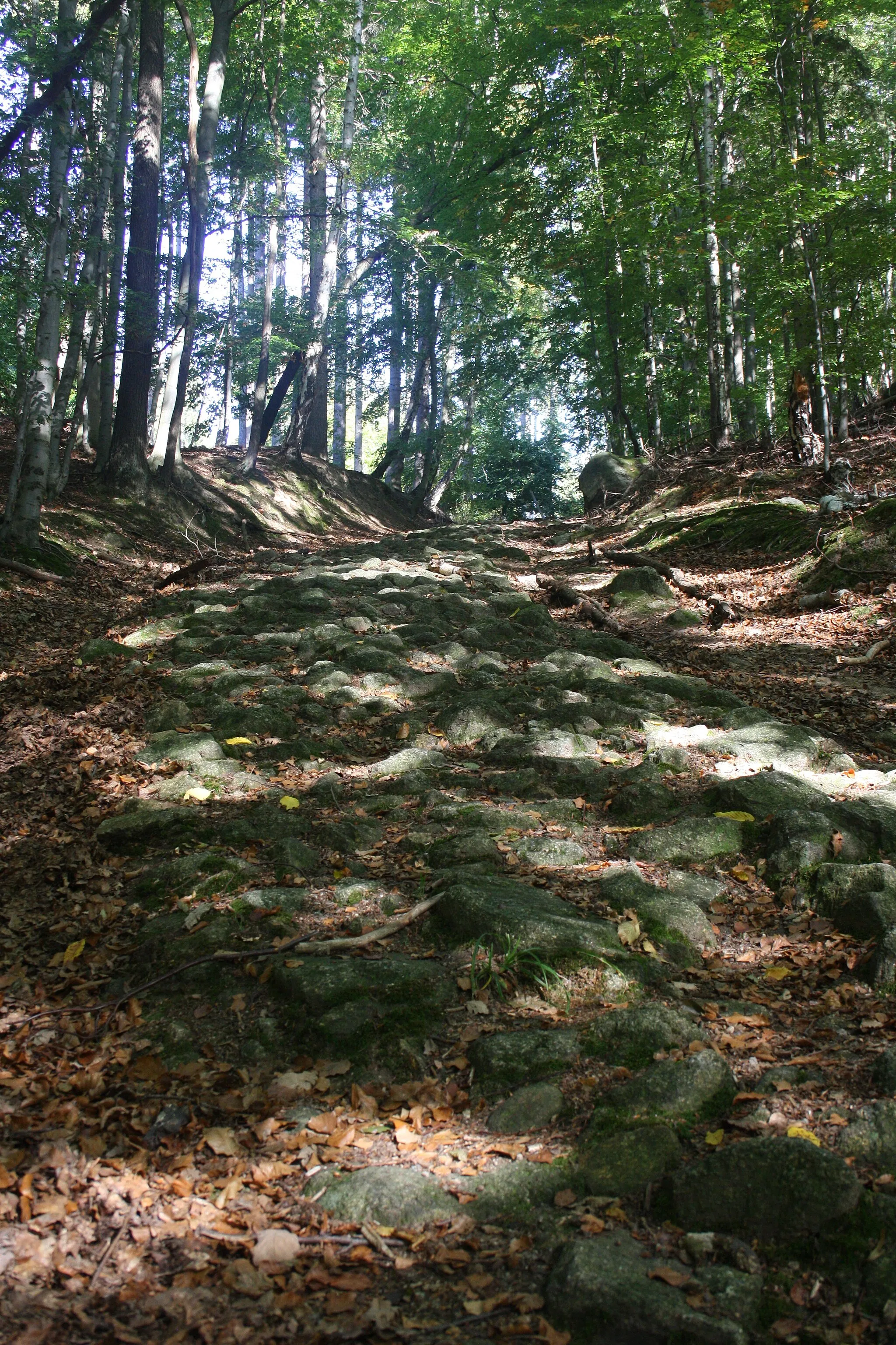 Photo showing: Harz Wanderung Stecklenberg  - Hexentanzplatz / Thale  -  Alter Fuhrweg(Bergmannstieg) auf die Harzhochfläche