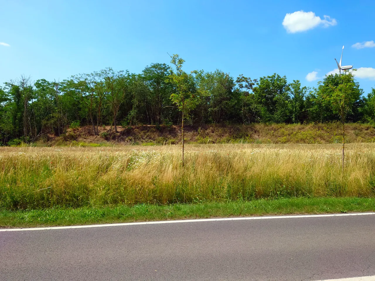 Photo showing: Telegraphenstation Nr.15 des preußischen optischen Telegrafen Fuchsberg bei Hohendodeleben