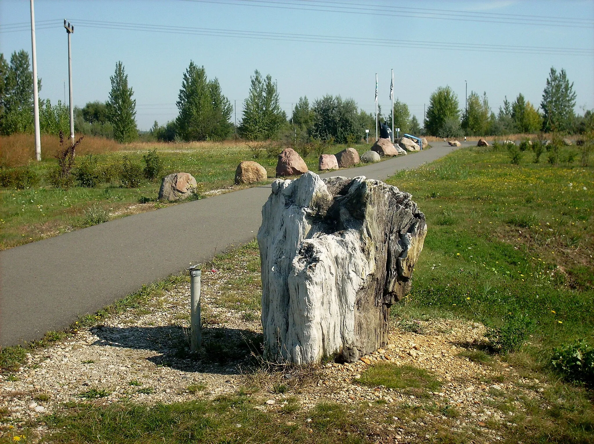 Photo showing: Erratic blocks and fossil tree-trunk at Schwerzau vantage point near Profen (Elsteraue, district of Burgenlandkreis, Saxony-Anhalt)