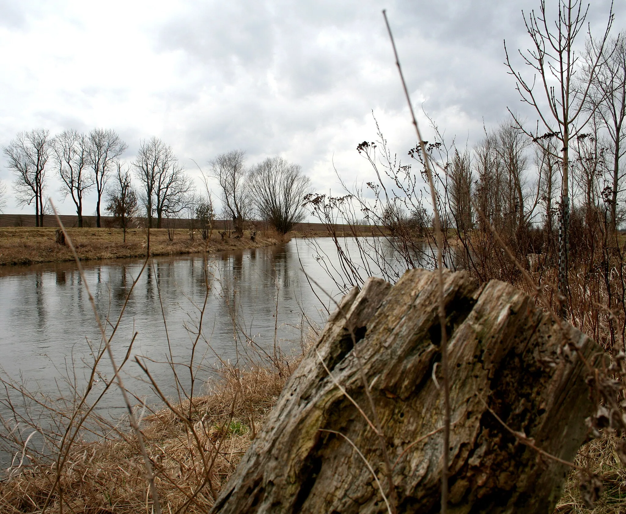 Photo showing: Der Fluss Bode in Staßfurt