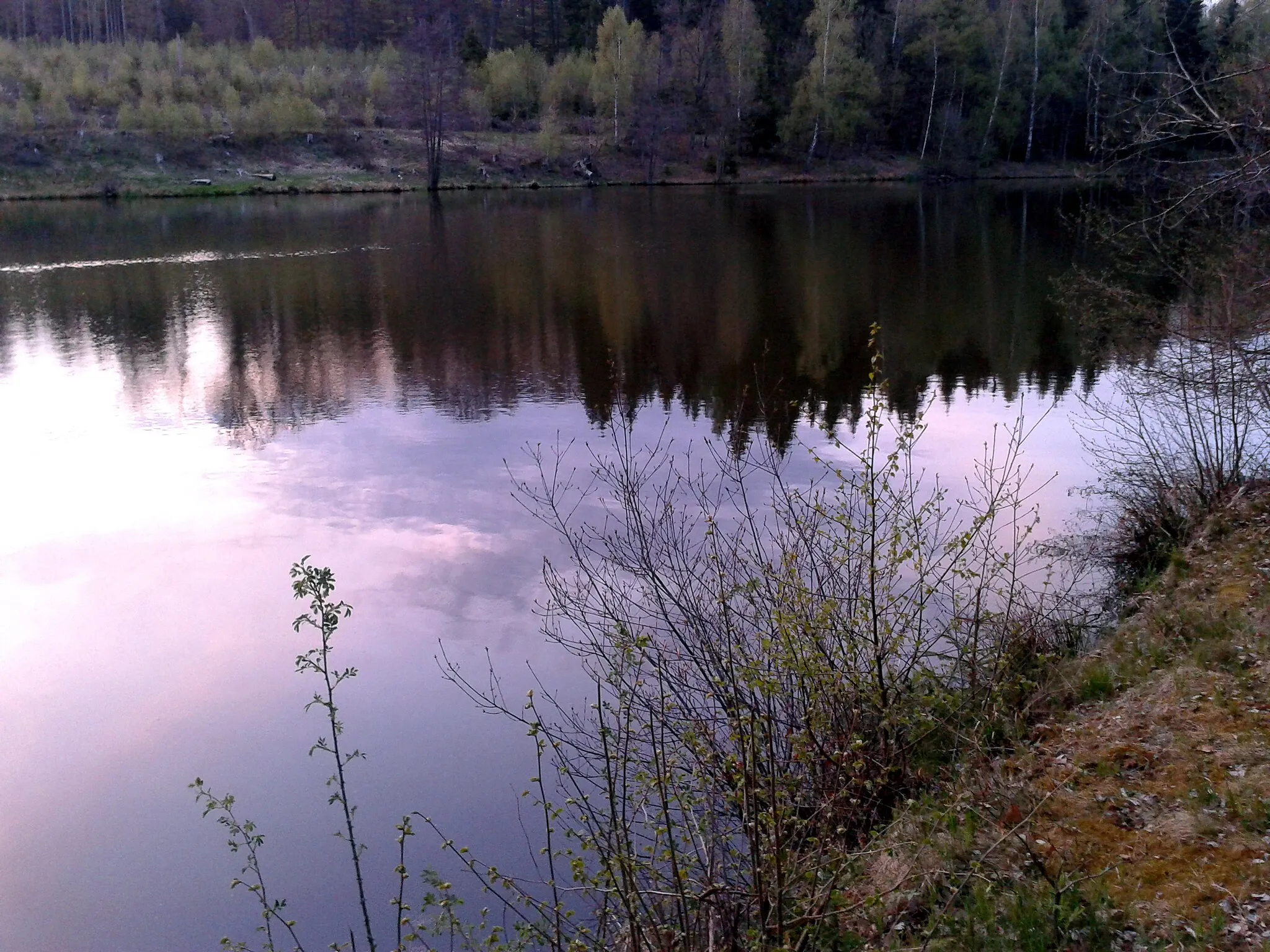 Photo showing: Blick über den Elbingstalteich am späten Abend.