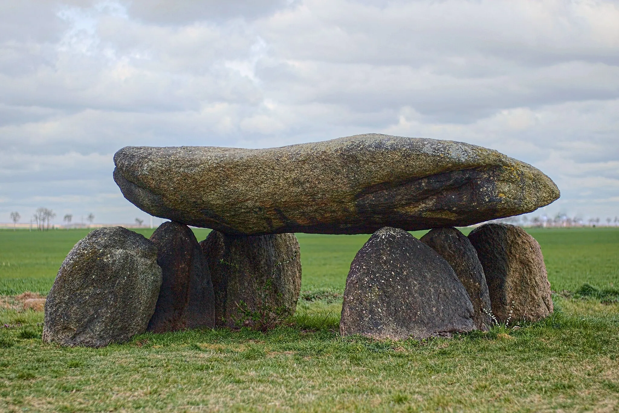 Photo showing: Großsteingrab Drosa ("Teufelskeller") in Sachsen-Anhalt, Blick von Osten