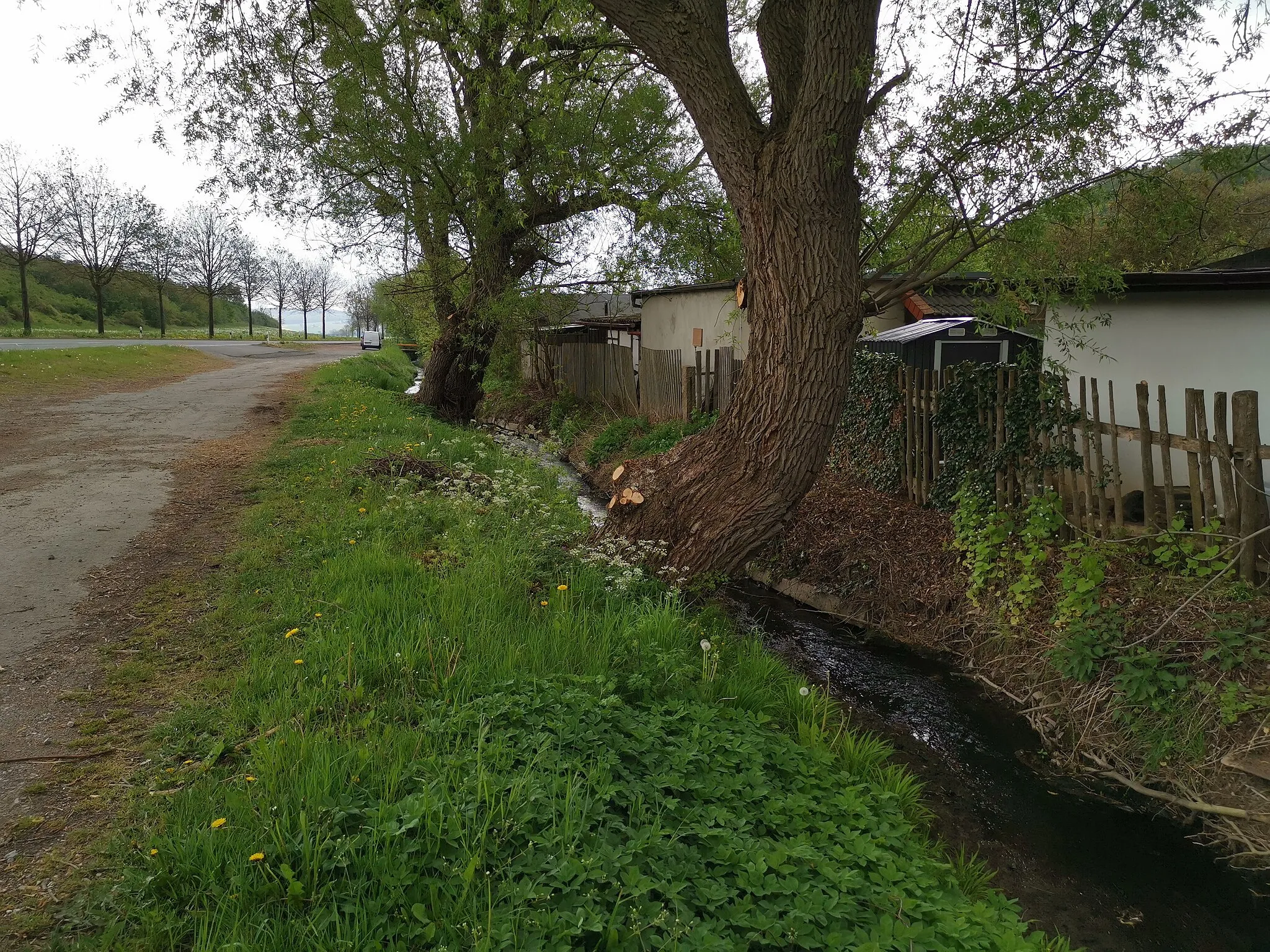 Photo showing: Hellbach bei Benzingerode